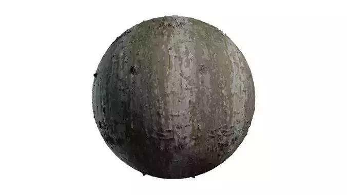 Anydrafts Platanus orientalis Bark 10