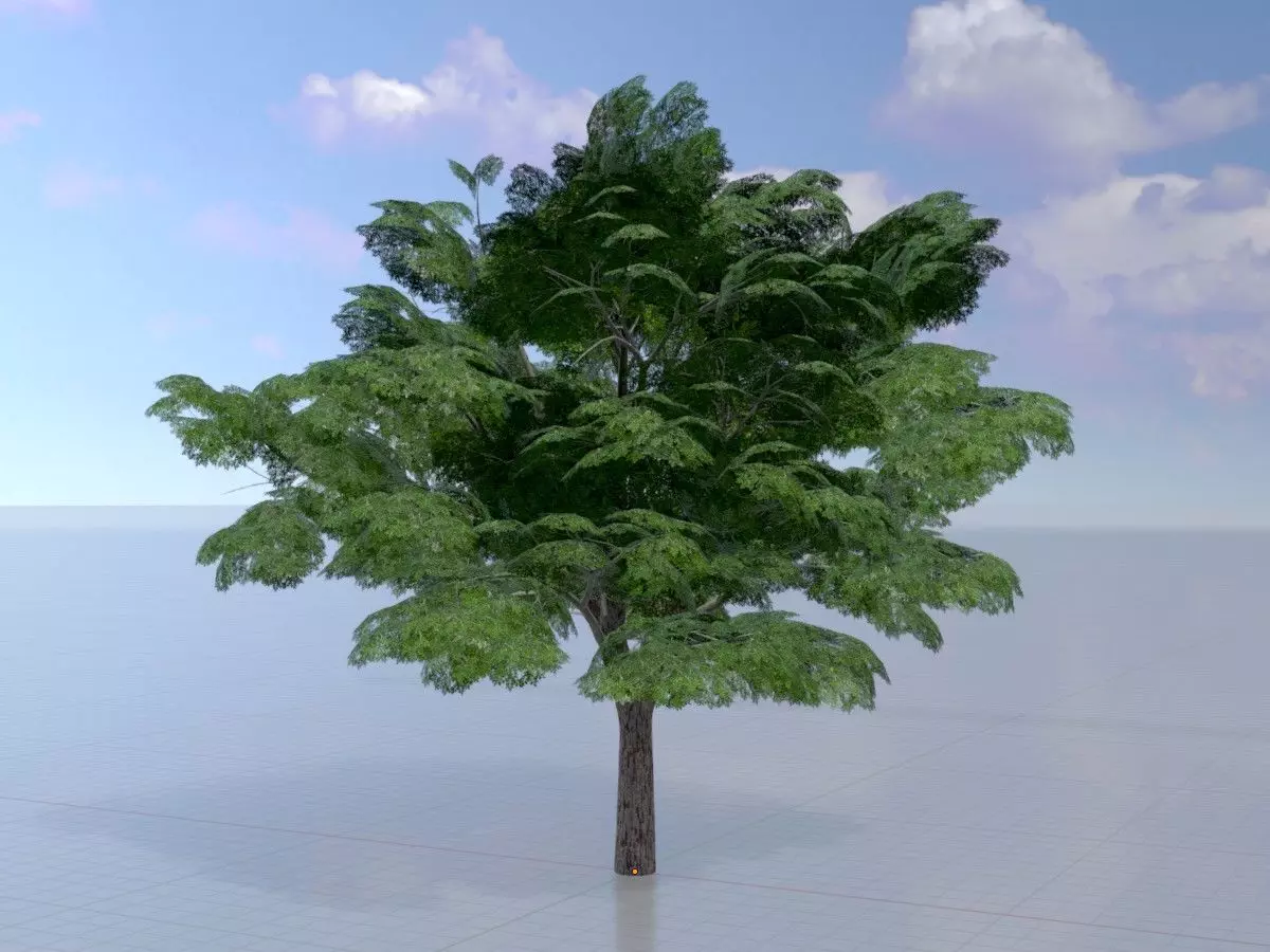 Persian walnut tree summer 21000mm Low-poly 3D model
