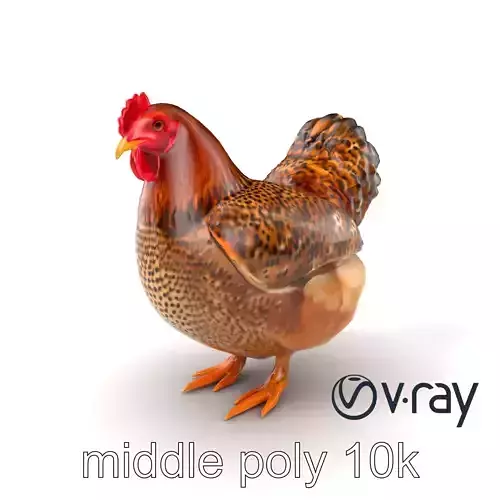Speckled Chicken 3D Model Pack Low-poly 3D model