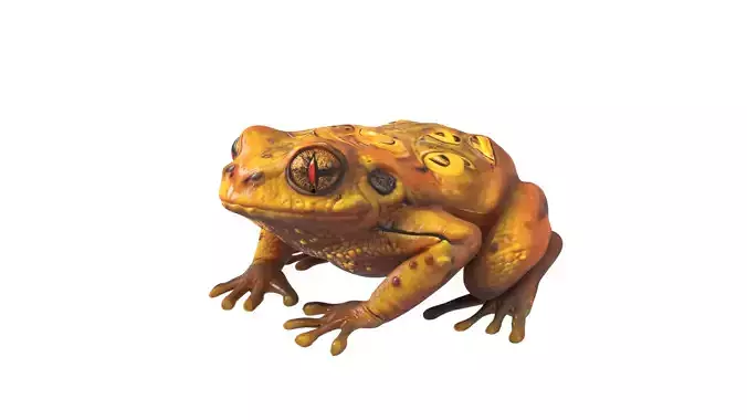 frog frogs Low-poly 3D model