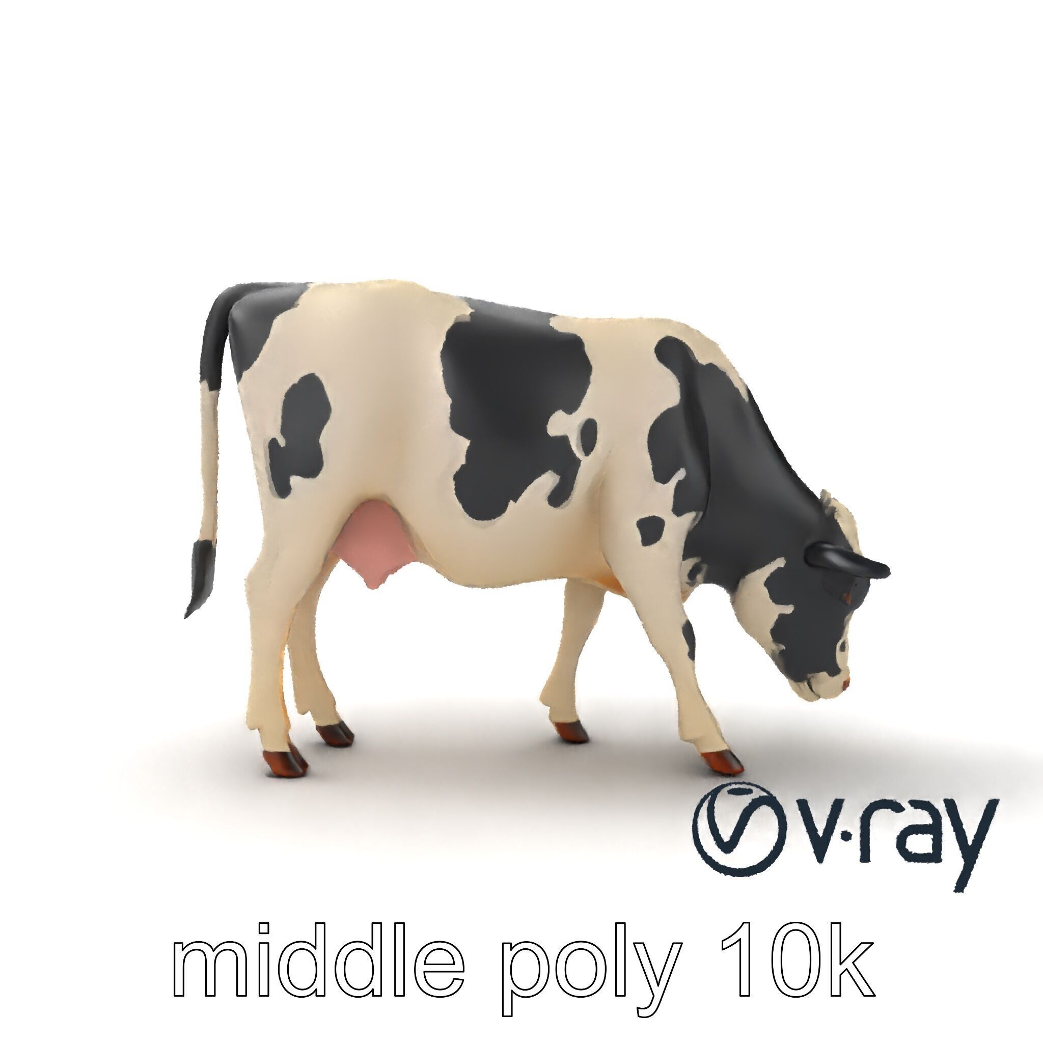 Realistic Grazing Cow Model Pack Low-poly 3D model_13