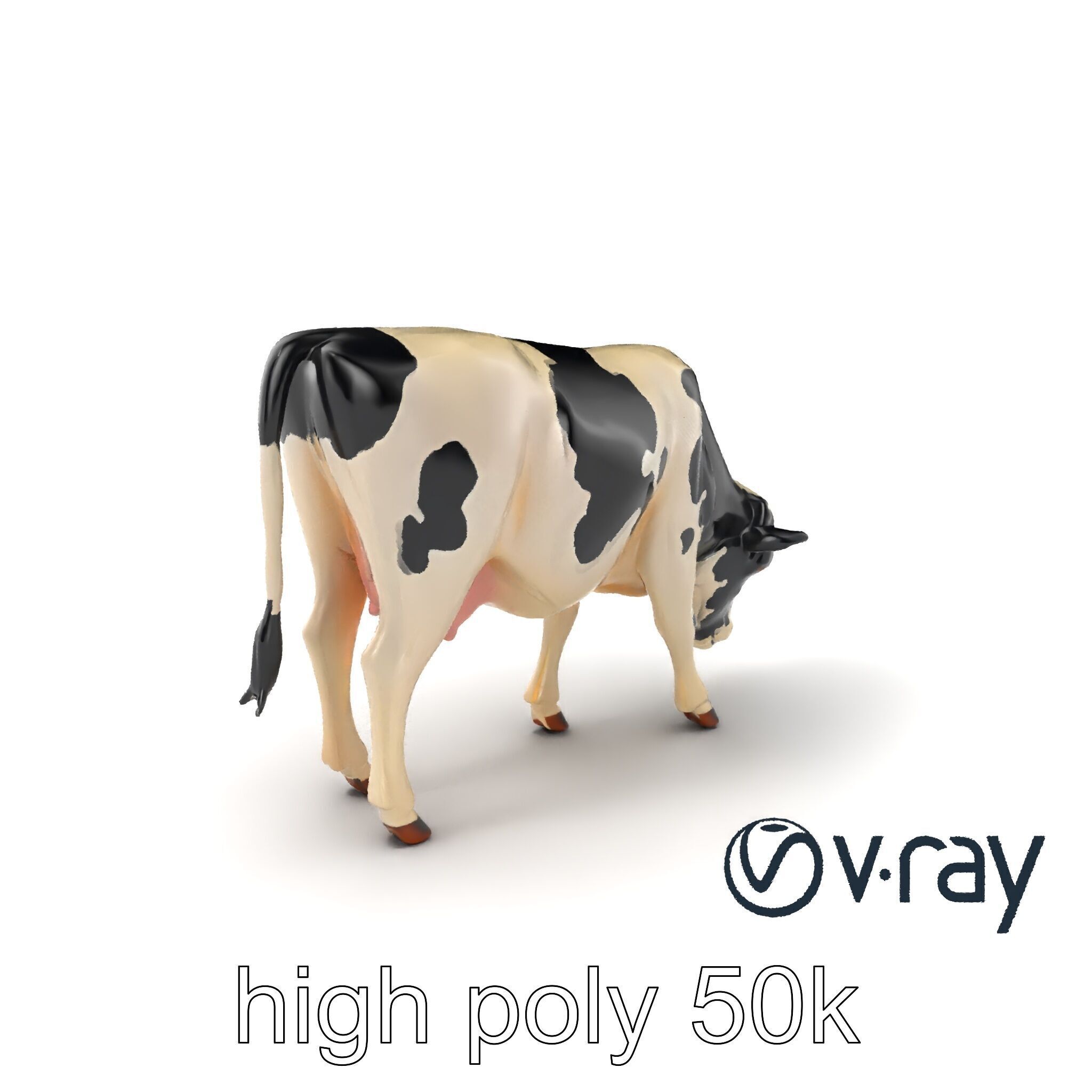 Realistic Grazing Cow Model Pack Low-poly 3D model_6