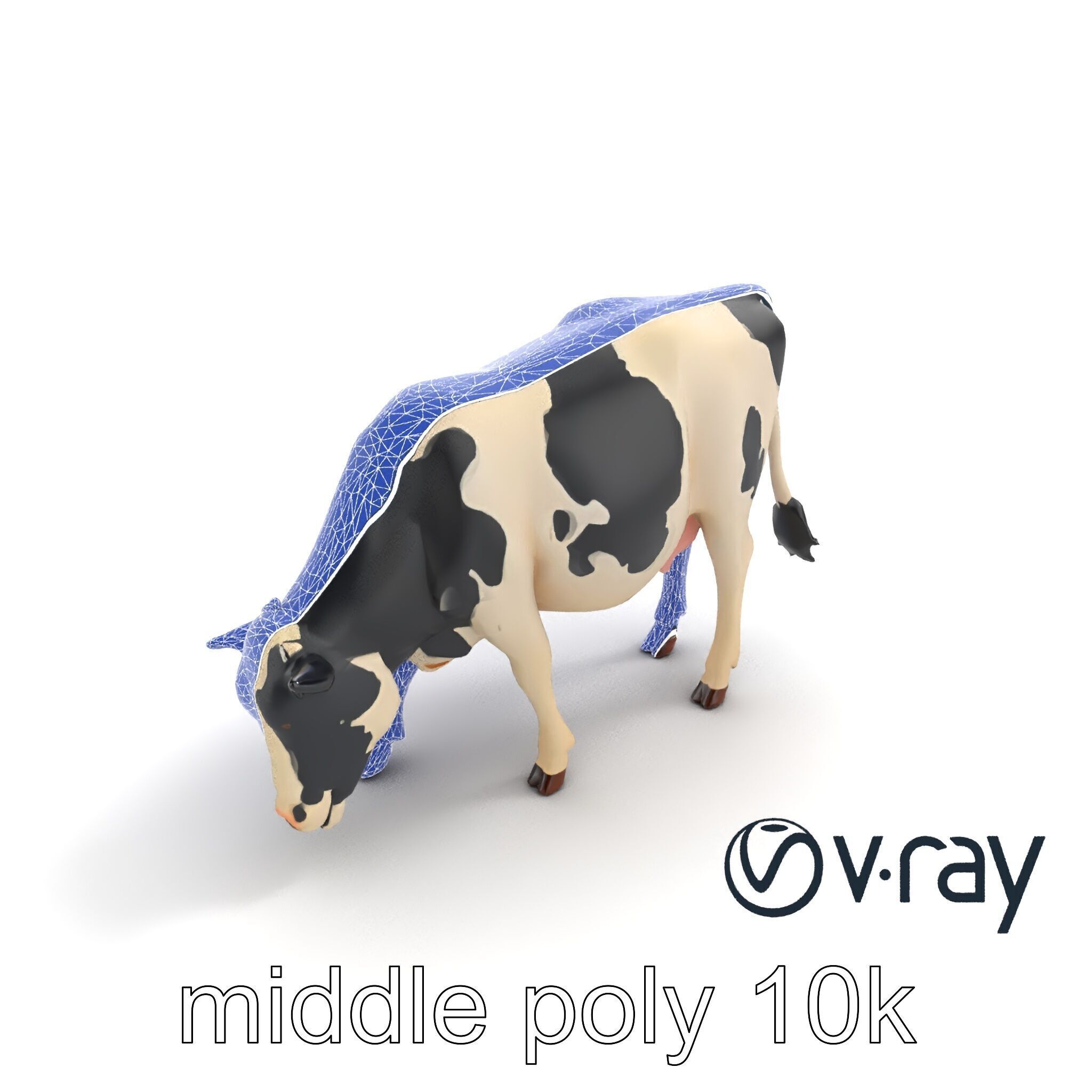 Realistic Grazing Cow Model Pack Low-poly 3D model_10