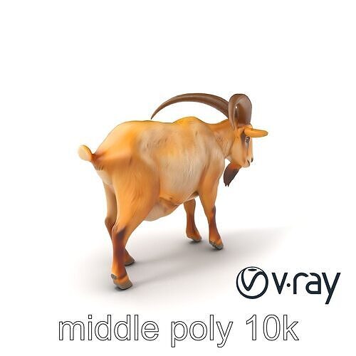 Beige Coat Curved Horn Goat model pack Low-poly 3D model