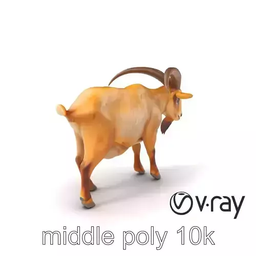 Beige Coat Curved Horn Goat model pack