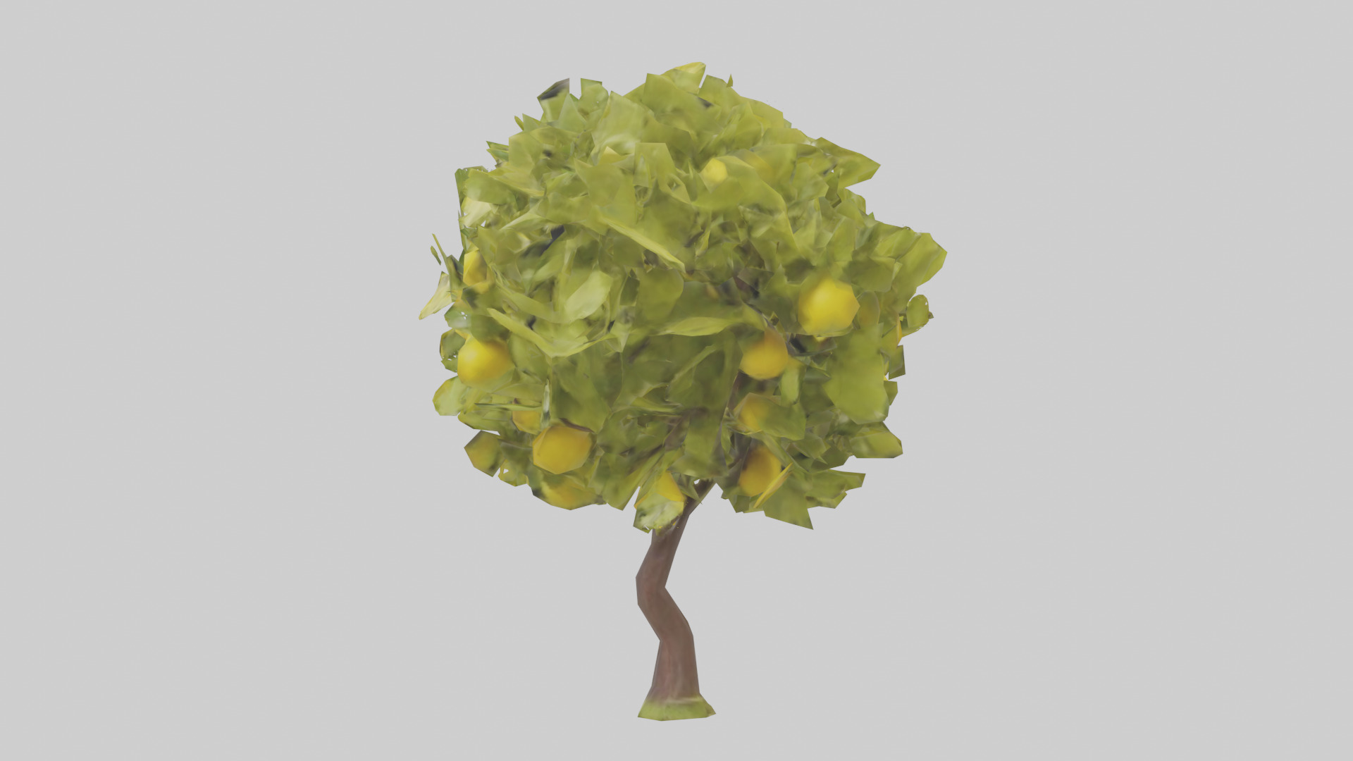Lemon tree model Low-poly 3D model_1