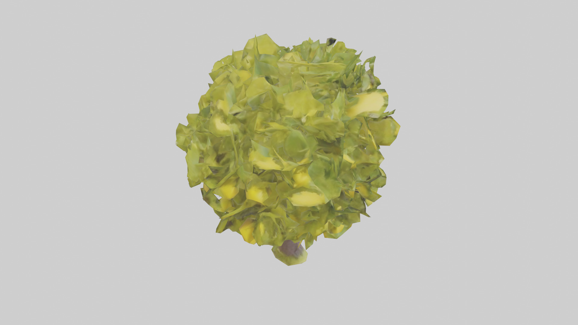 Lemon tree model Low-poly 3D model_18