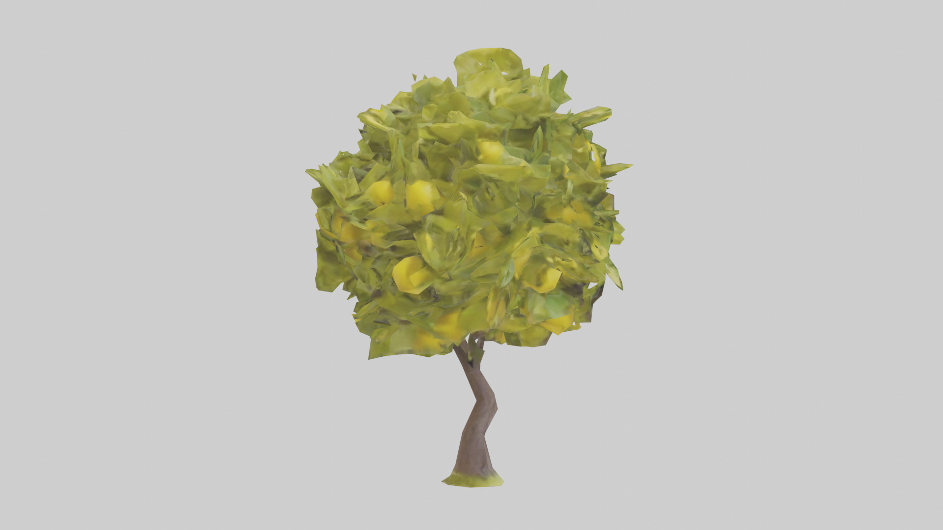 Lemon tree model Low-poly 3D model_13