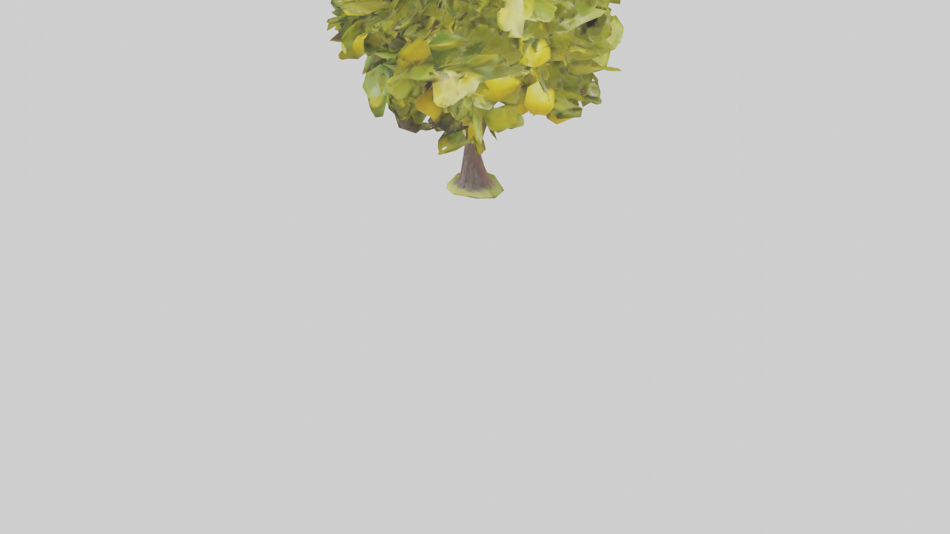 Lemon tree model Low-poly 3D model_5