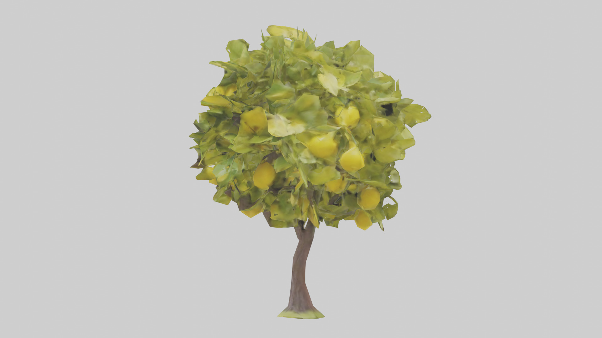 Lemon tree model Low-poly 3D model_10