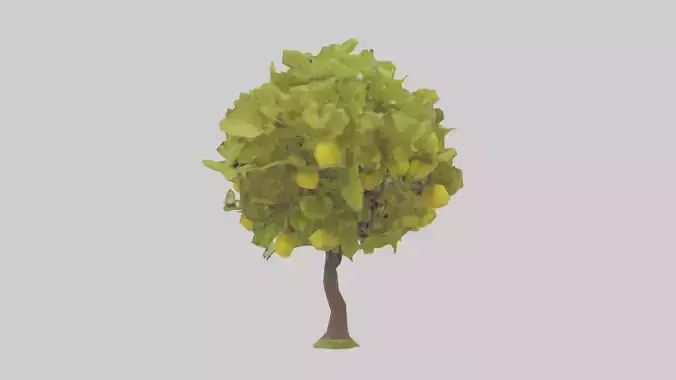 Lemon tree model