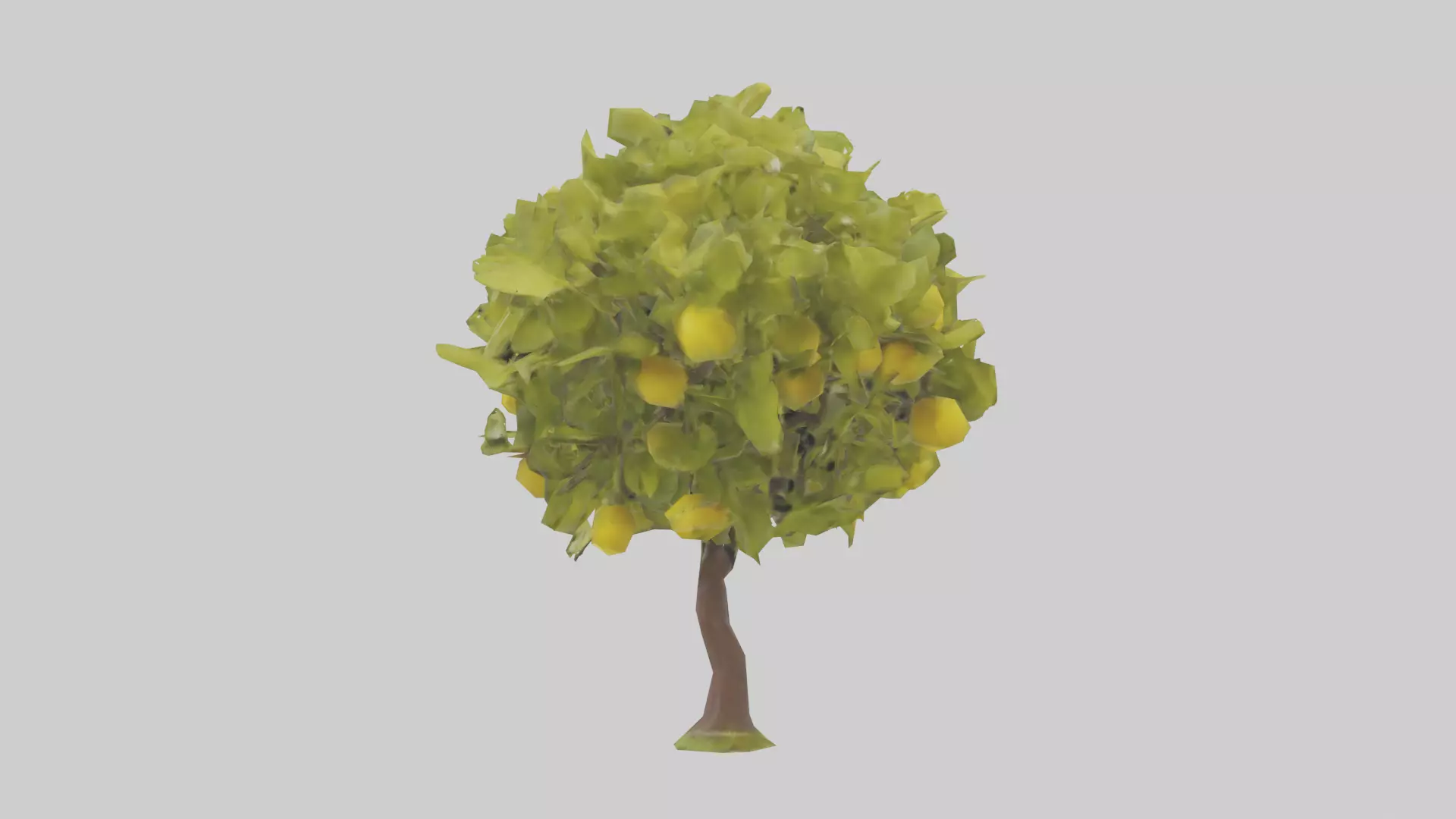 Lemon tree model Low-poly 3D model_0