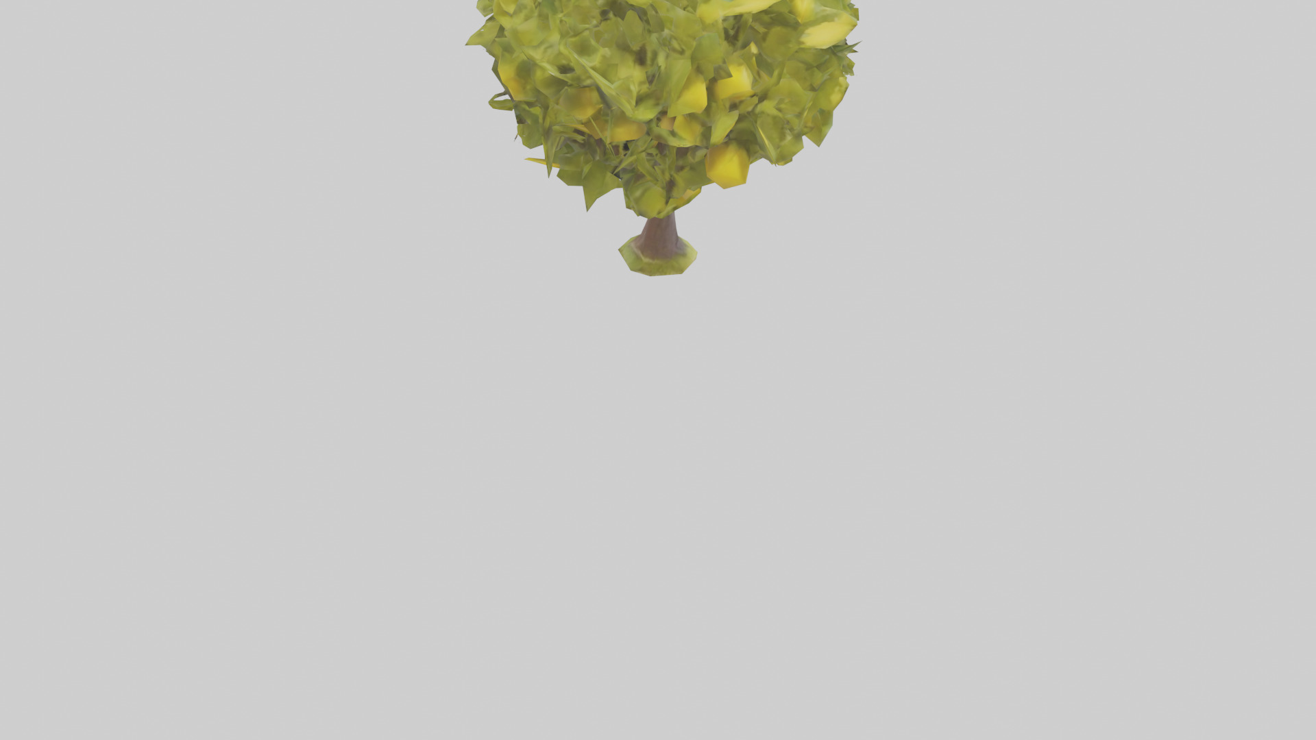 Lemon tree model Low-poly 3D model_4