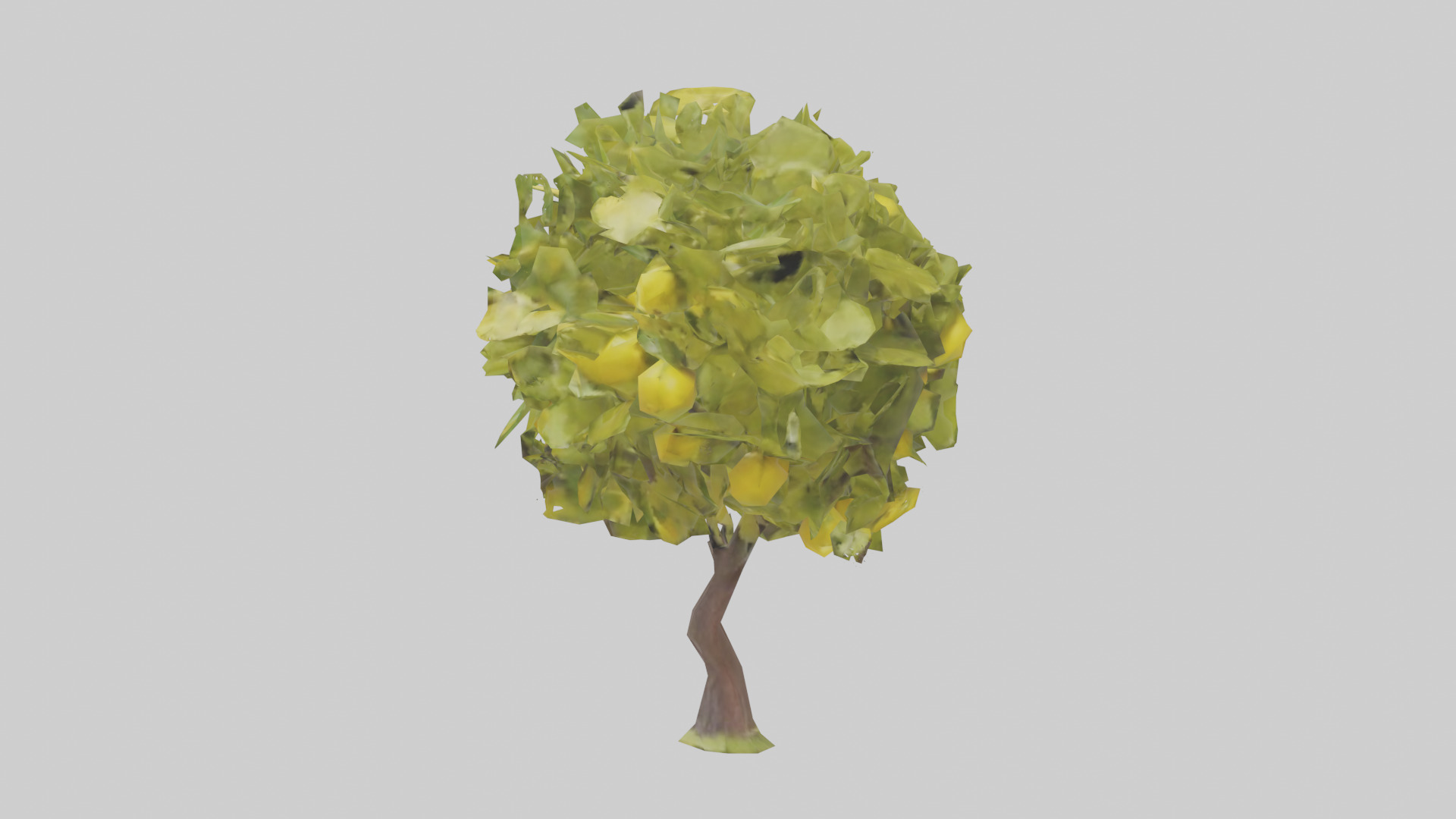 Lemon tree model Low-poly 3D model_12