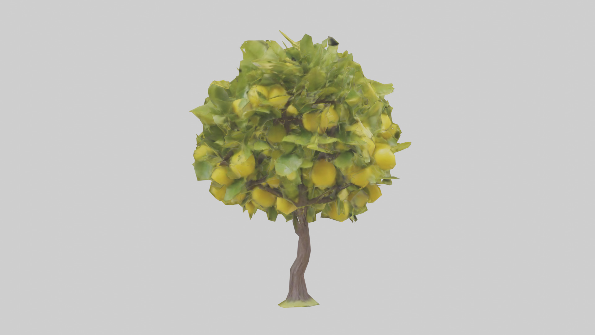 Lemon tree model Low-poly 3D model_9