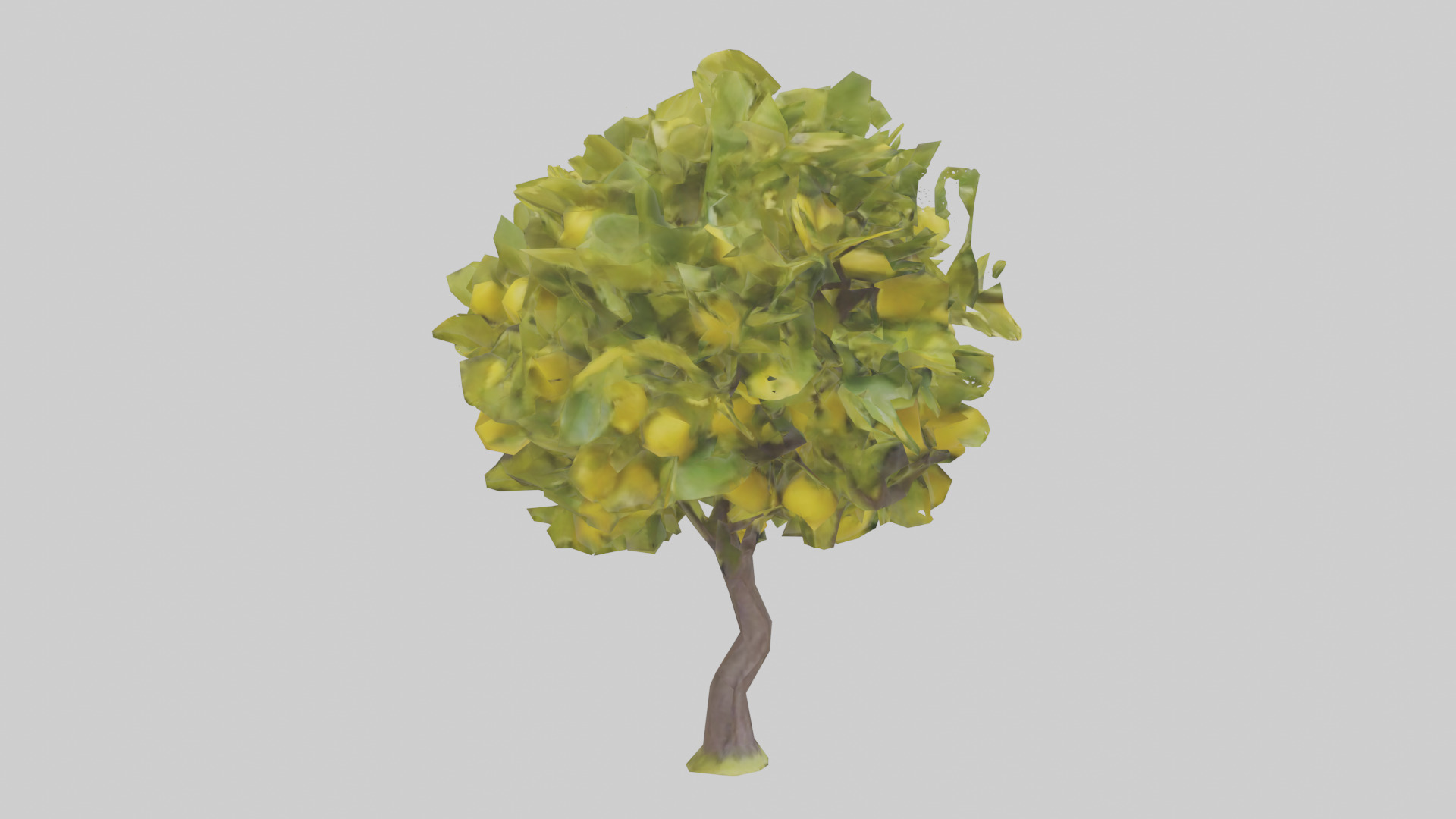 Lemon tree model Low-poly 3D model_7