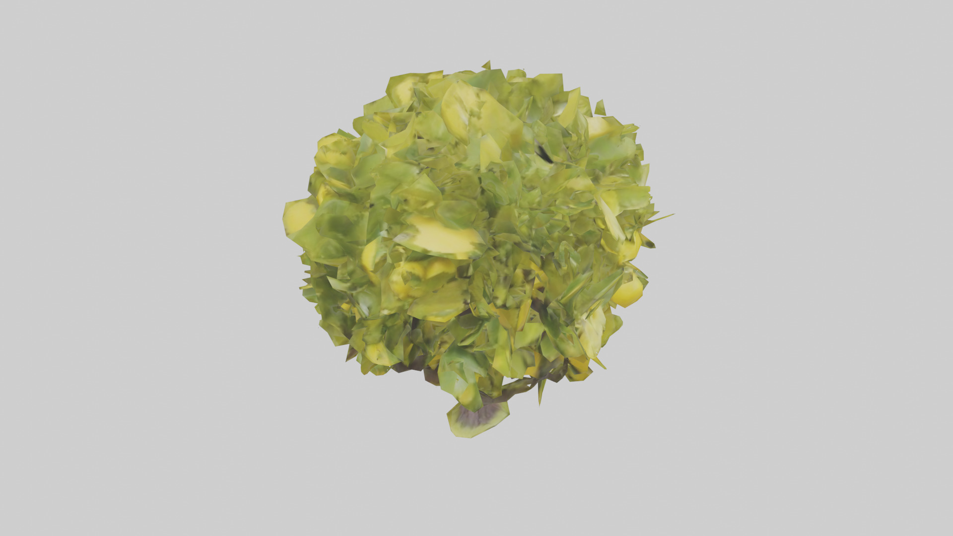 Lemon tree model Low-poly 3D model_16