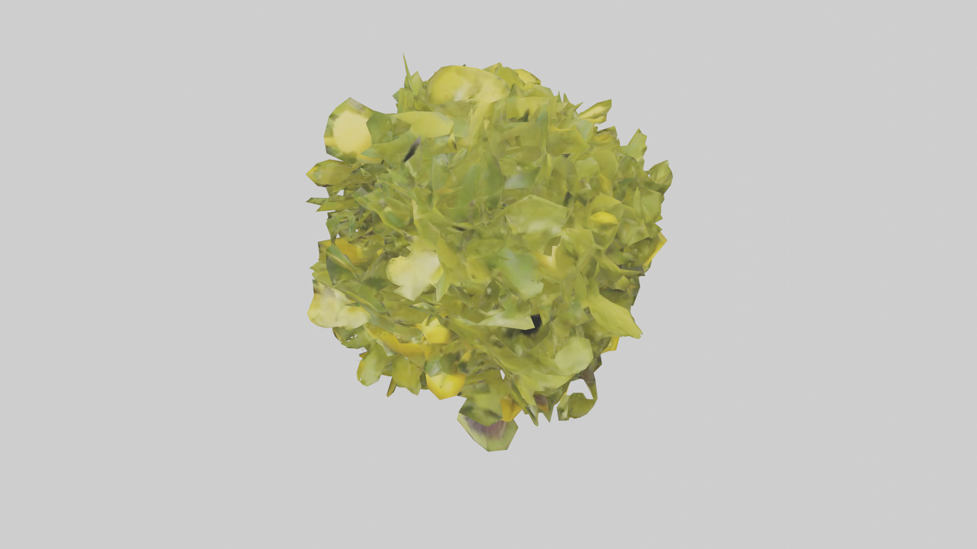 Lemon tree model Low-poly 3D model_17