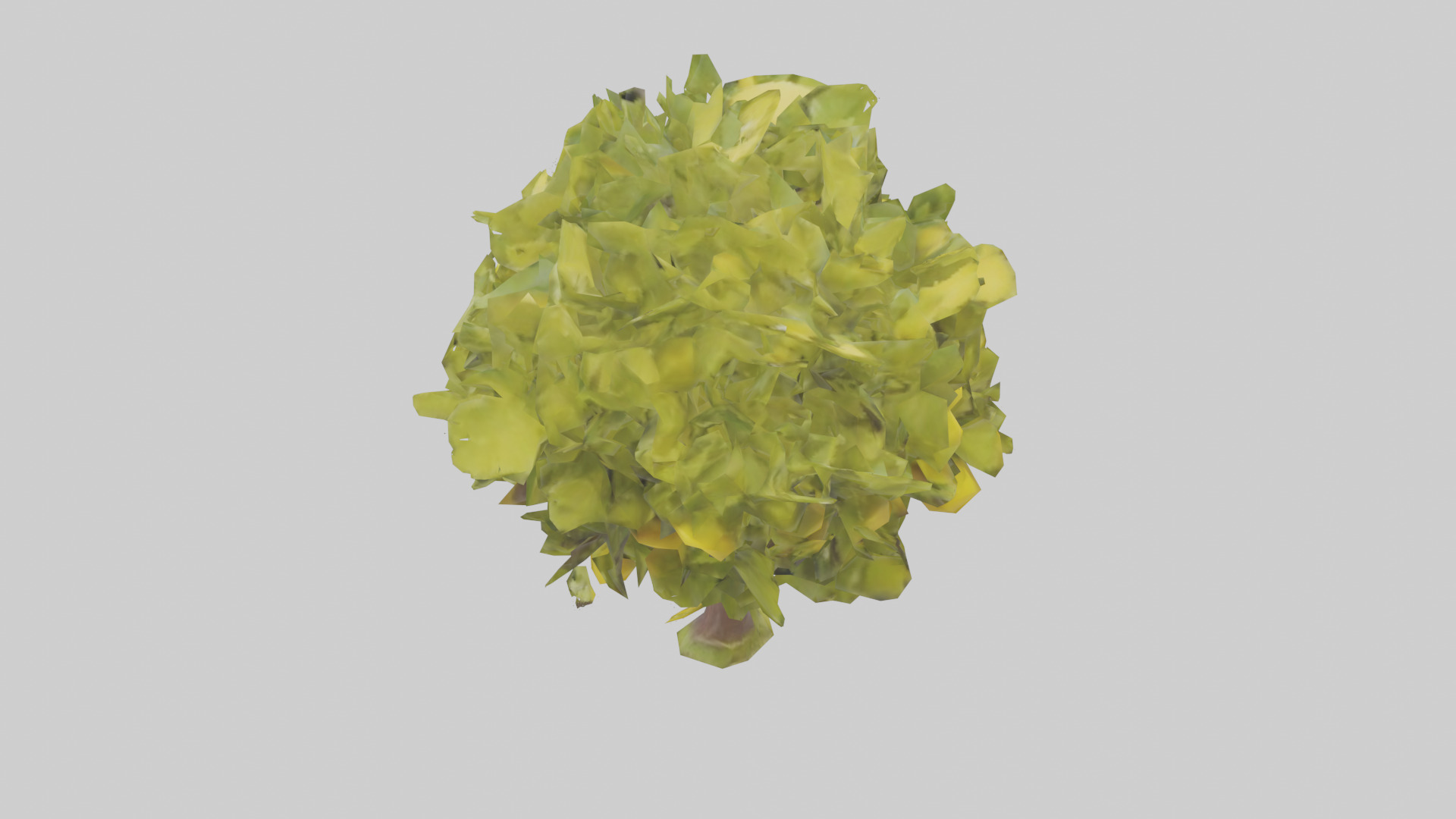 Lemon tree model Low-poly 3D model_15