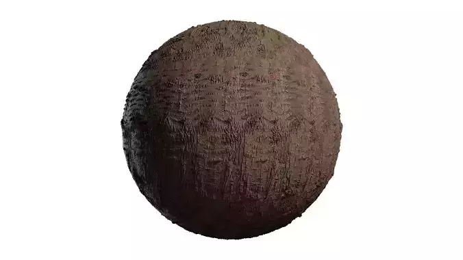 Anydrafts Populus simonii Bark 05