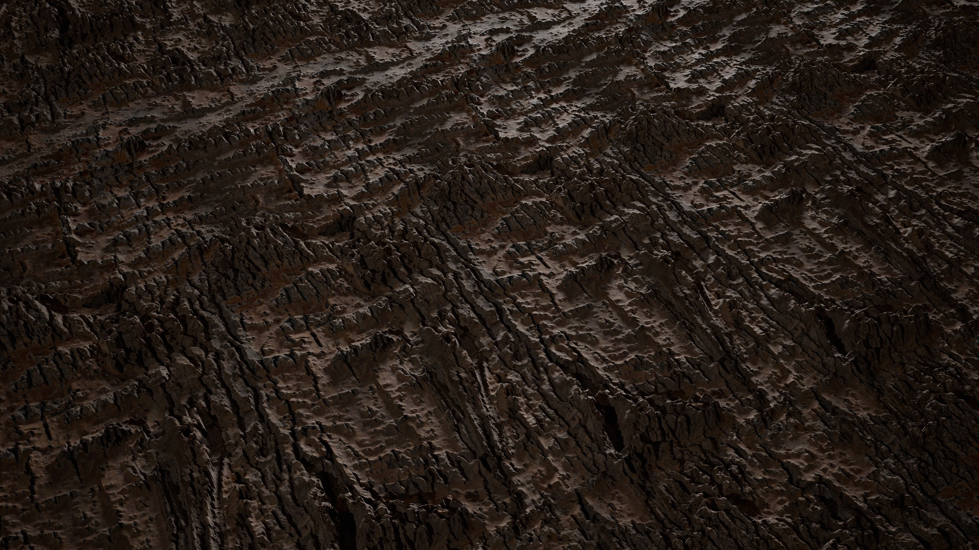 Anydrafts Populus simonii Bark 05 Texture_2