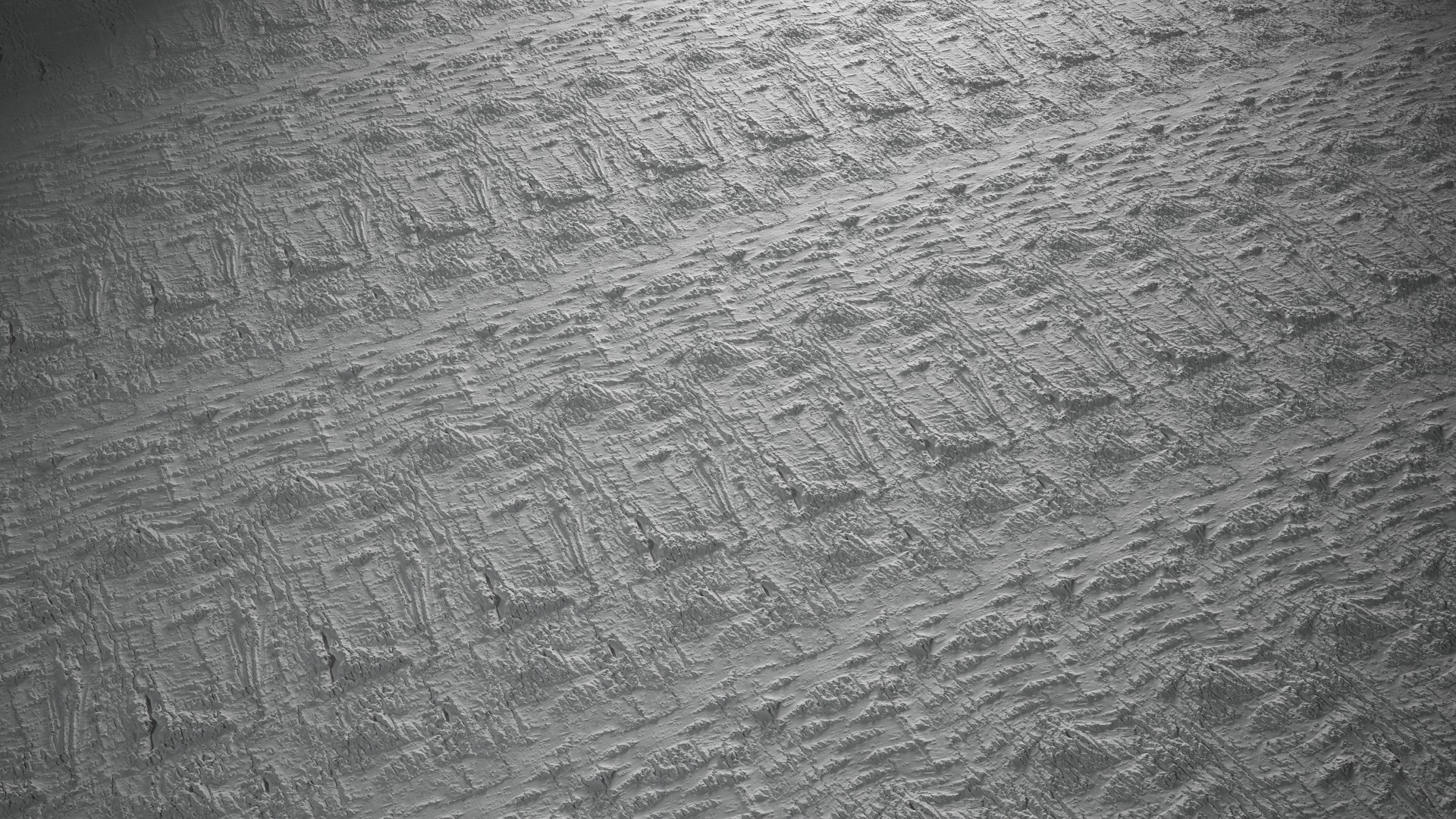 Anydrafts Populus simonii Bark 05 Texture_5