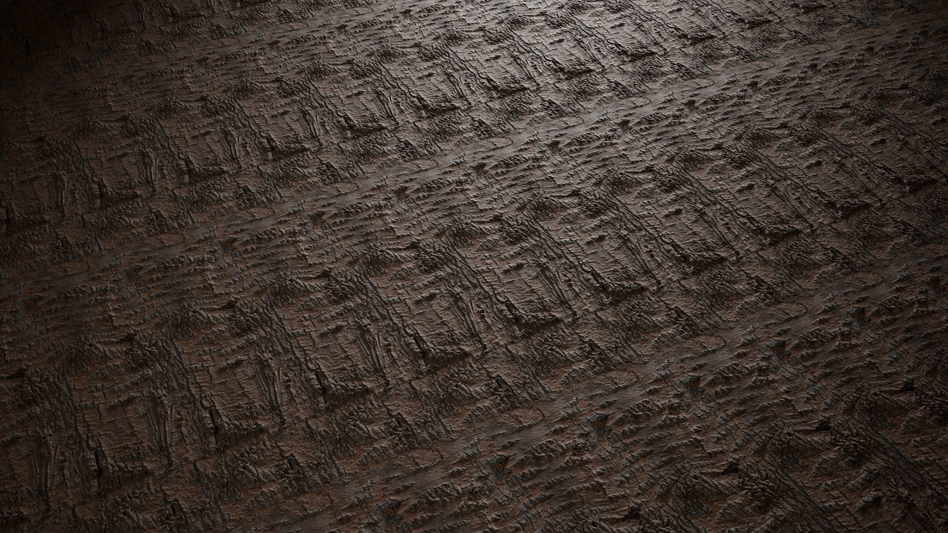 Anydrafts Populus simonii Bark 05 Texture_4