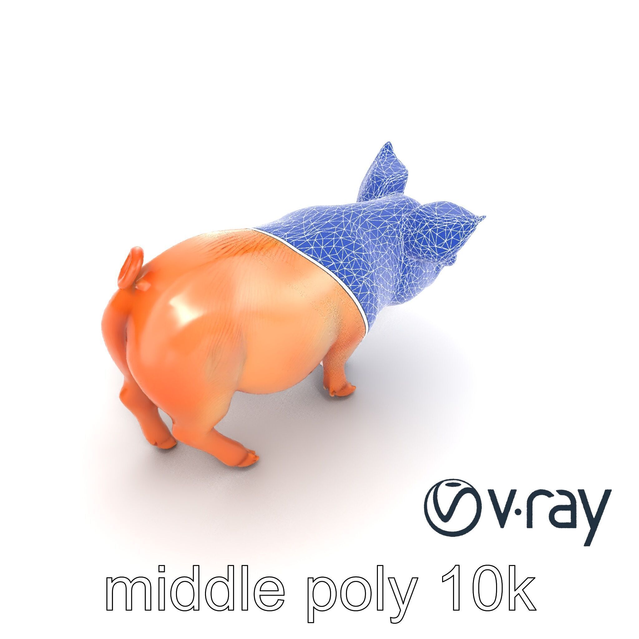 Realistic Pig Model with Pink Body model pack Low-poly 3D model_27