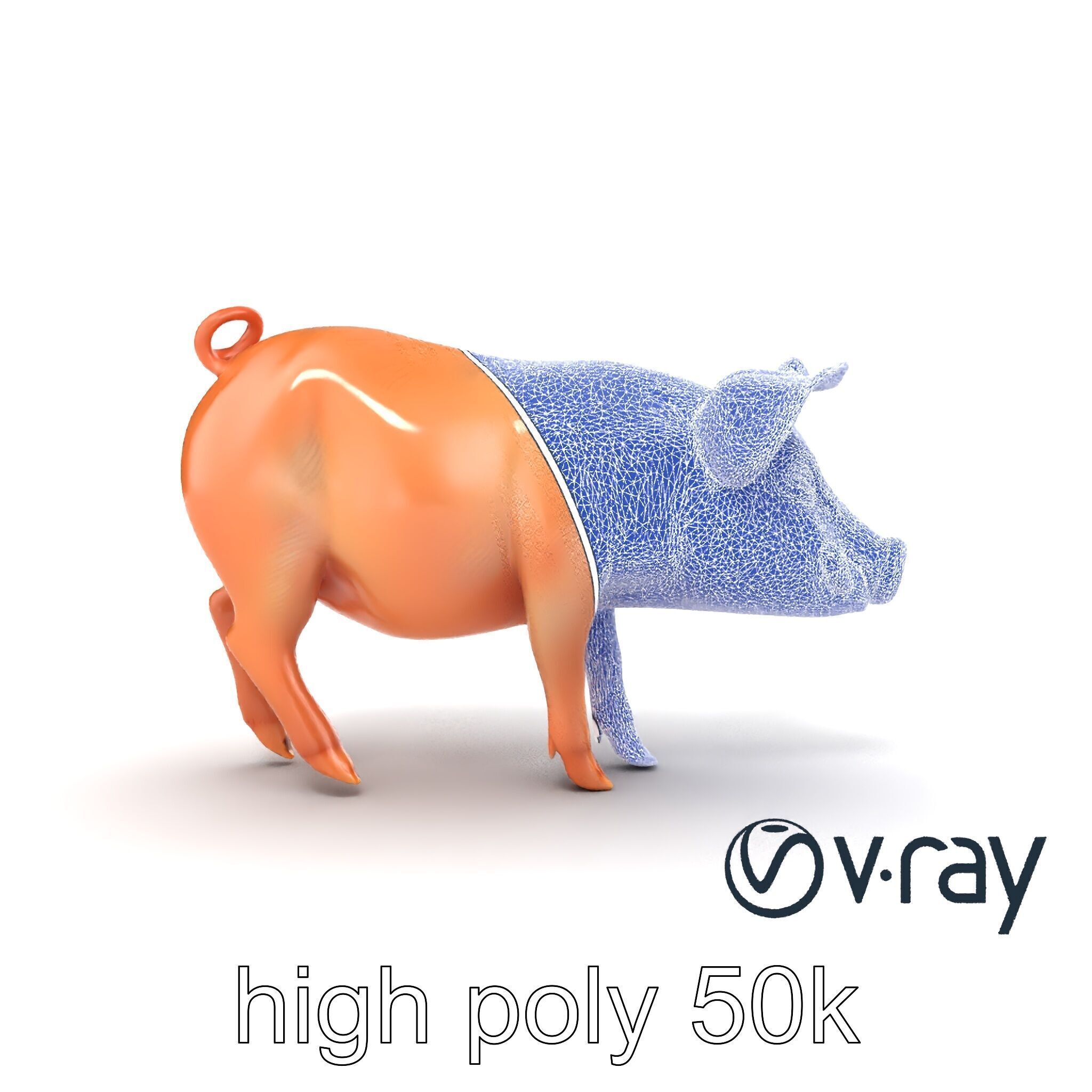 Realistic Pig Model with Pink Body model pack Low-poly 3D model_28