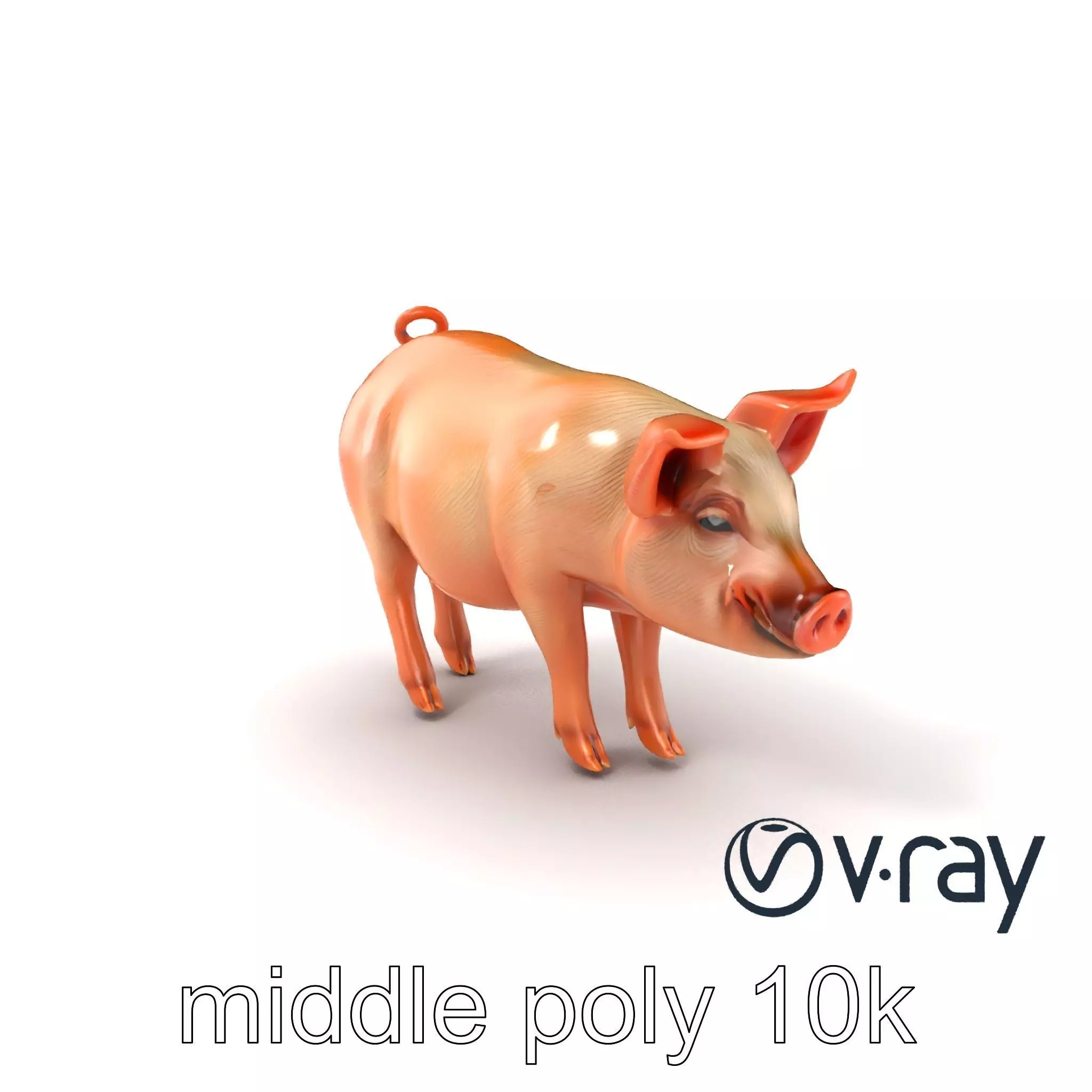 Realistic Pig Model with Pink Body model pack Low-poly 3D model_0