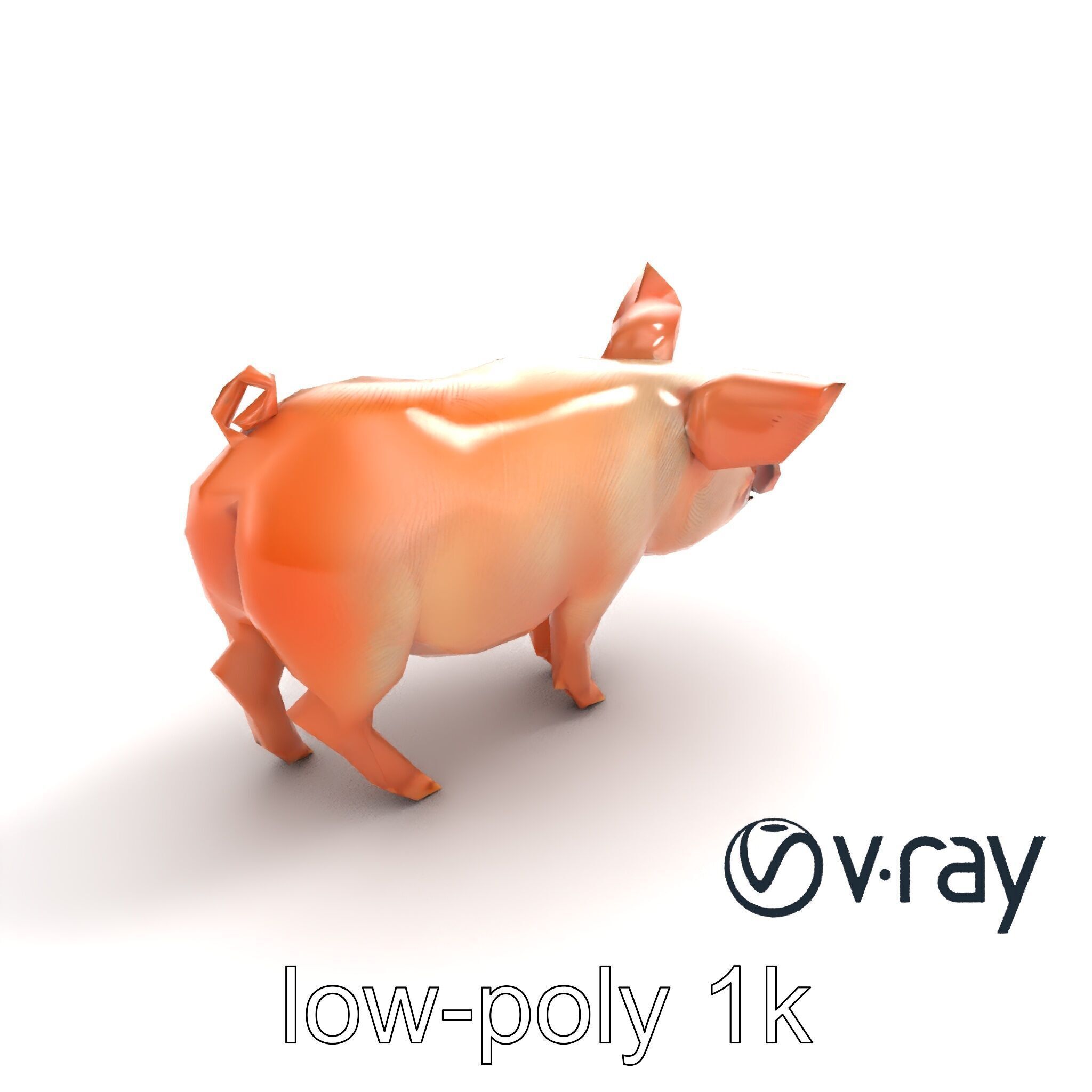 Realistic Pig Model with Pink Body model pack Low-poly 3D model_8