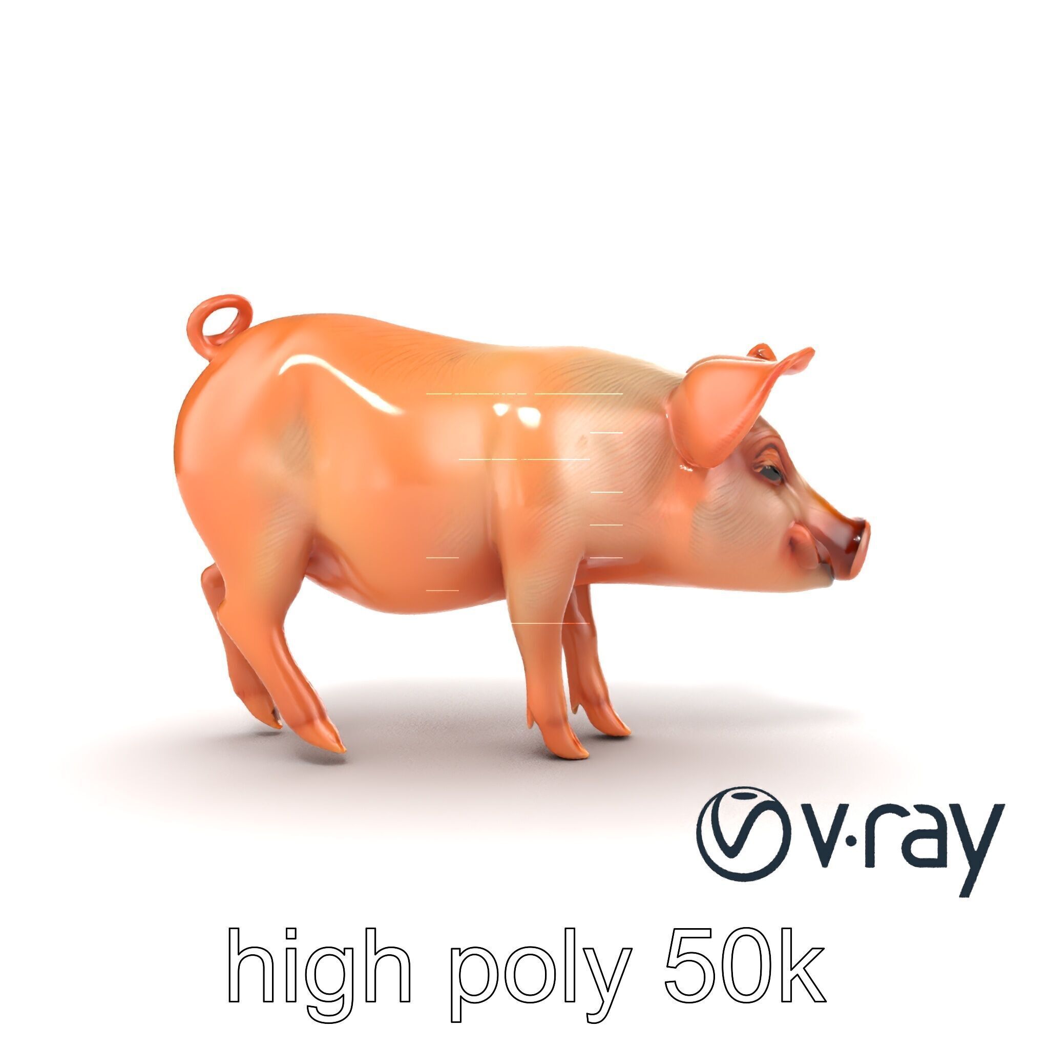 Realistic Pig Model with Pink Body model pack Low-poly 3D model_14