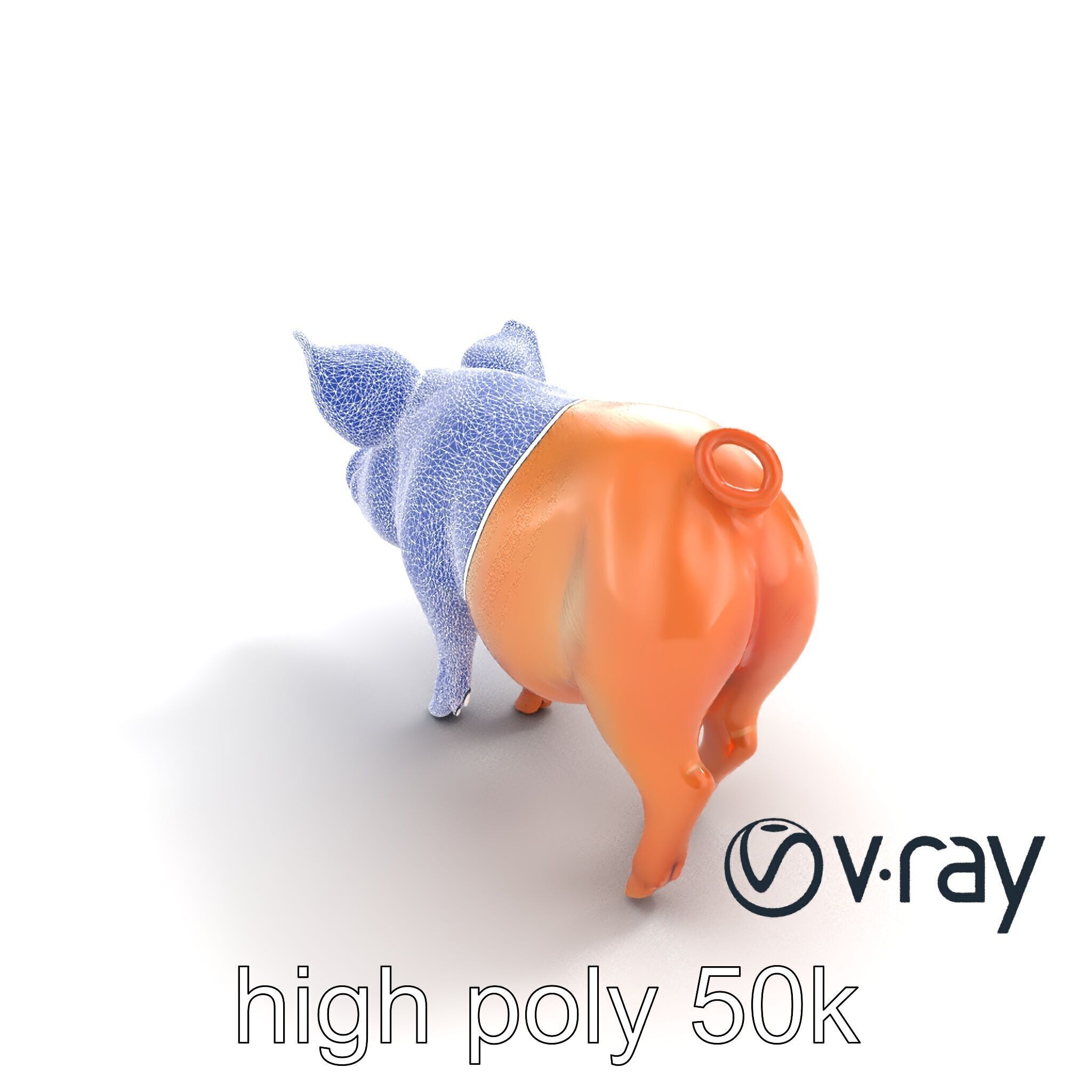 Realistic Pig Model with Pink Body model pack Low-poly 3D model_23