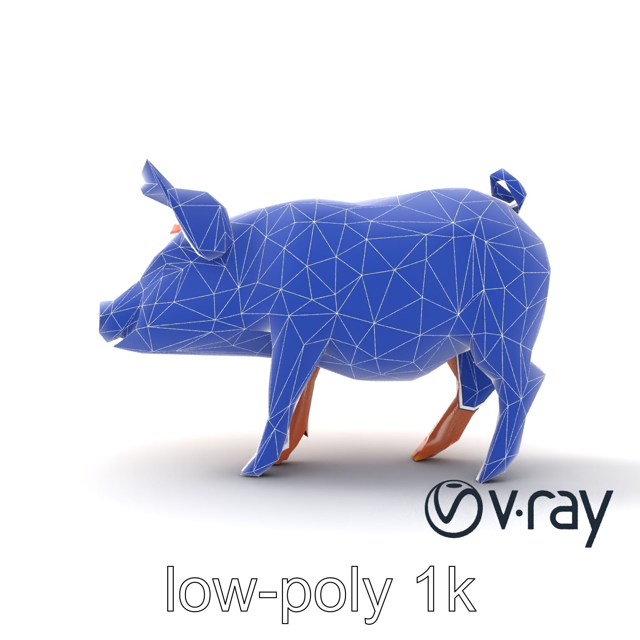 Realistic Pig Model with Pink Body model pack Low-poly 3D model_19