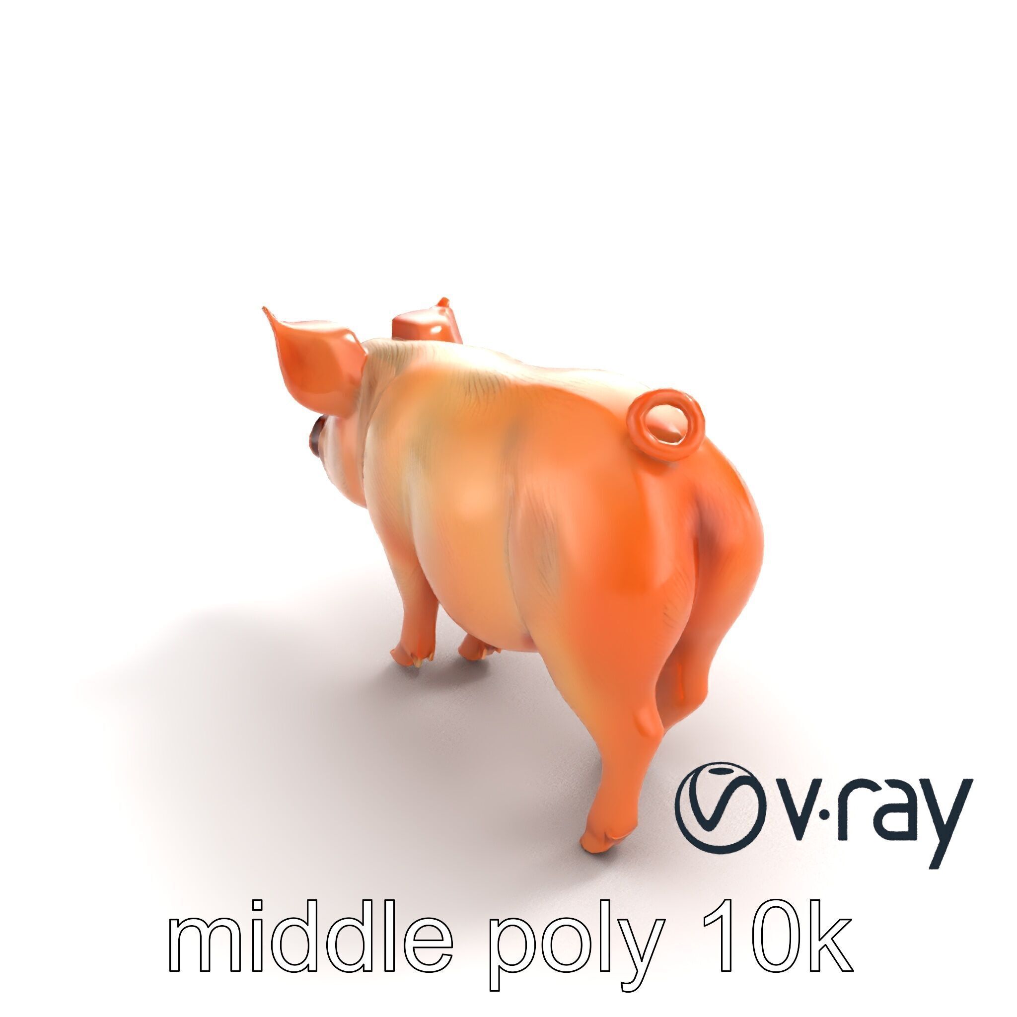 Realistic Pig Model with Pink Body model pack Low-poly 3D model_7