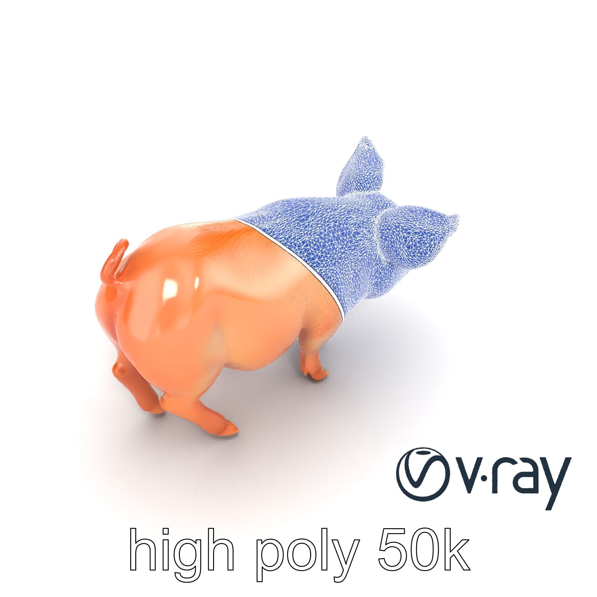 Realistic Pig Model with Pink Body model pack Low-poly 3D model_18