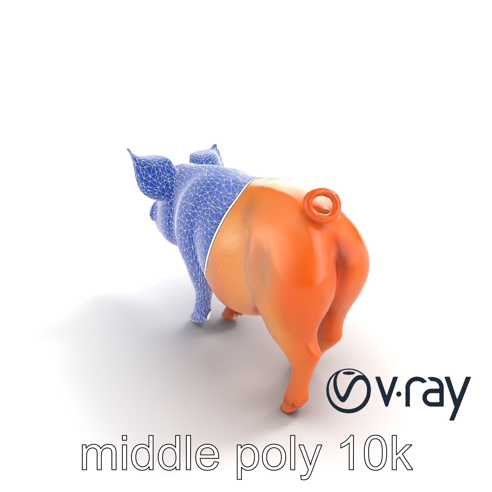 Realistic Pig Model with Pink Body model pack Low-poly 3D model_22