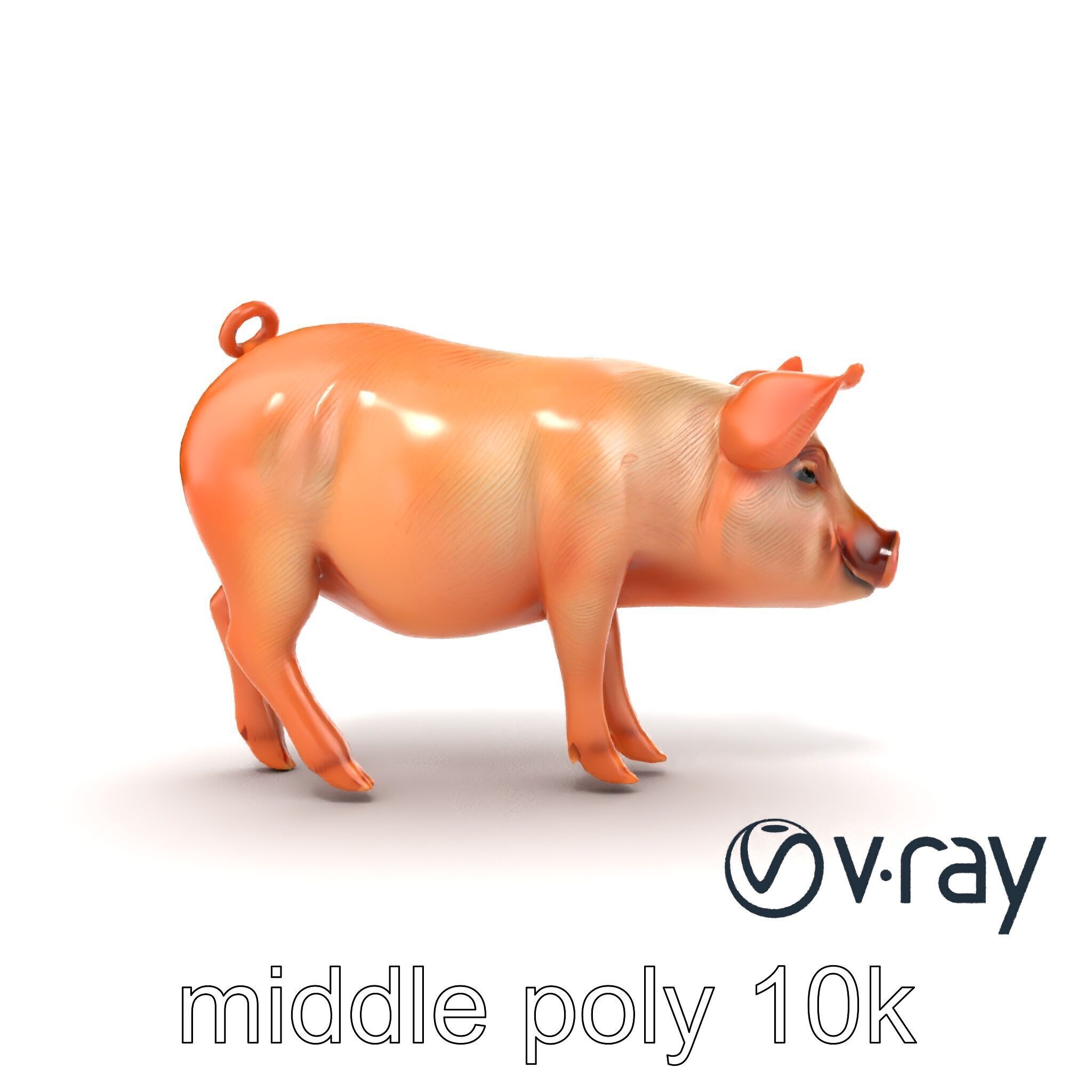 Realistic Pig Model with Pink Body model pack Low-poly 3D model_20