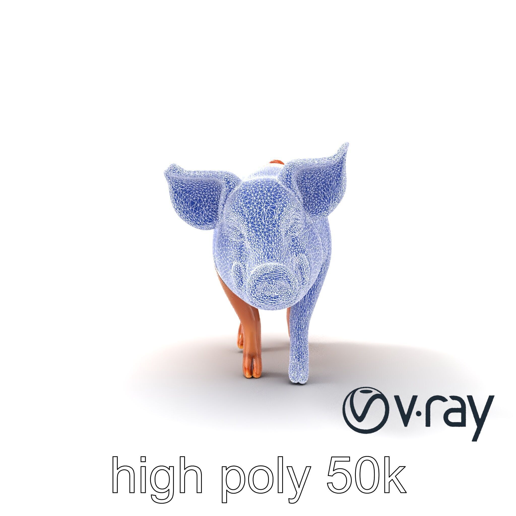 Realistic Pig Model with Pink Body model pack Low-poly 3D model_29