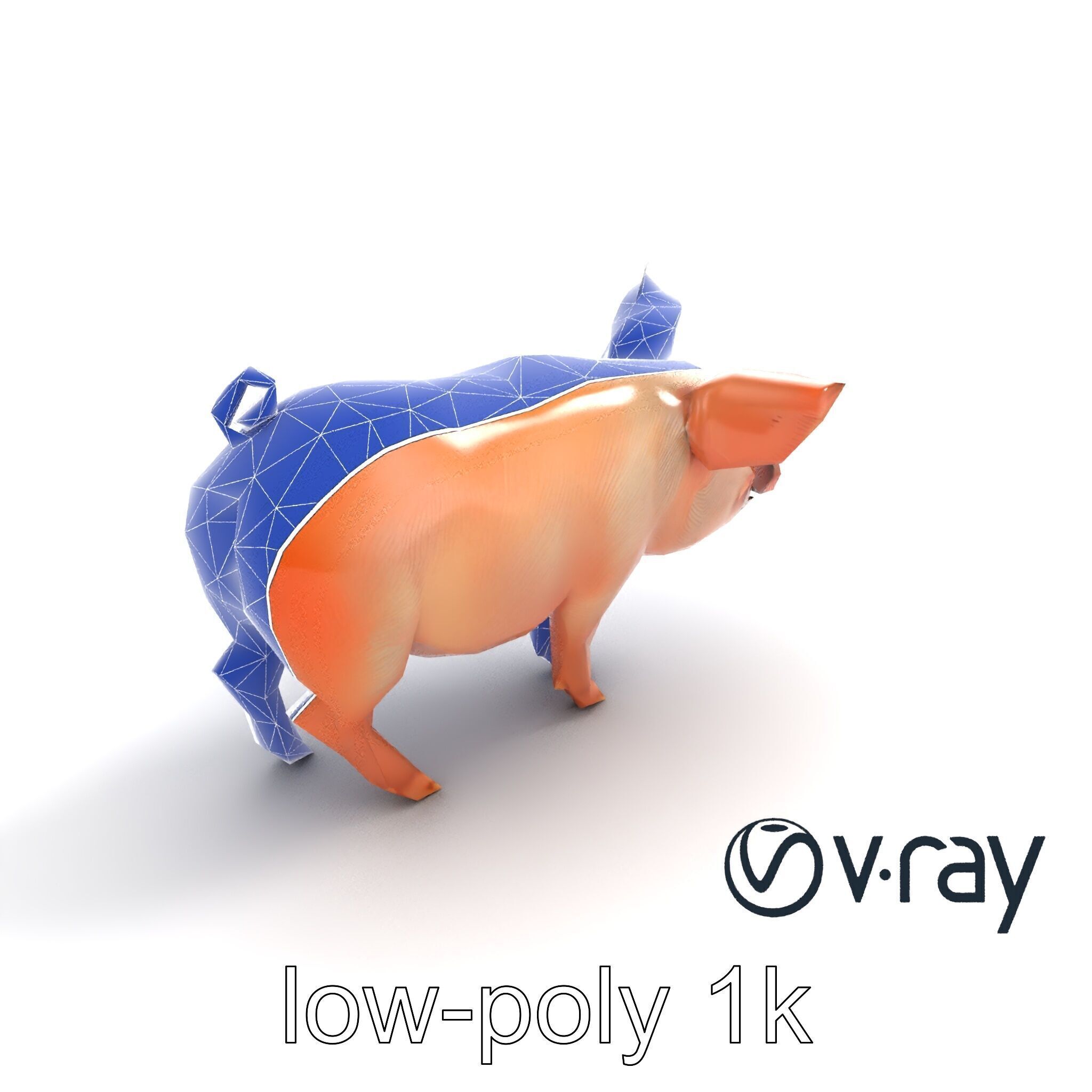 Realistic Pig Model with Pink Body model pack Low-poly 3D model_11