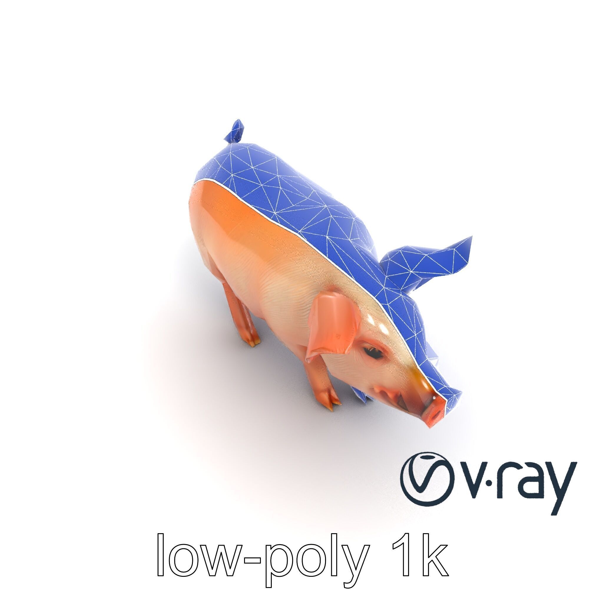 Realistic Pig Model with Pink Body model pack Low-poly 3D model_15