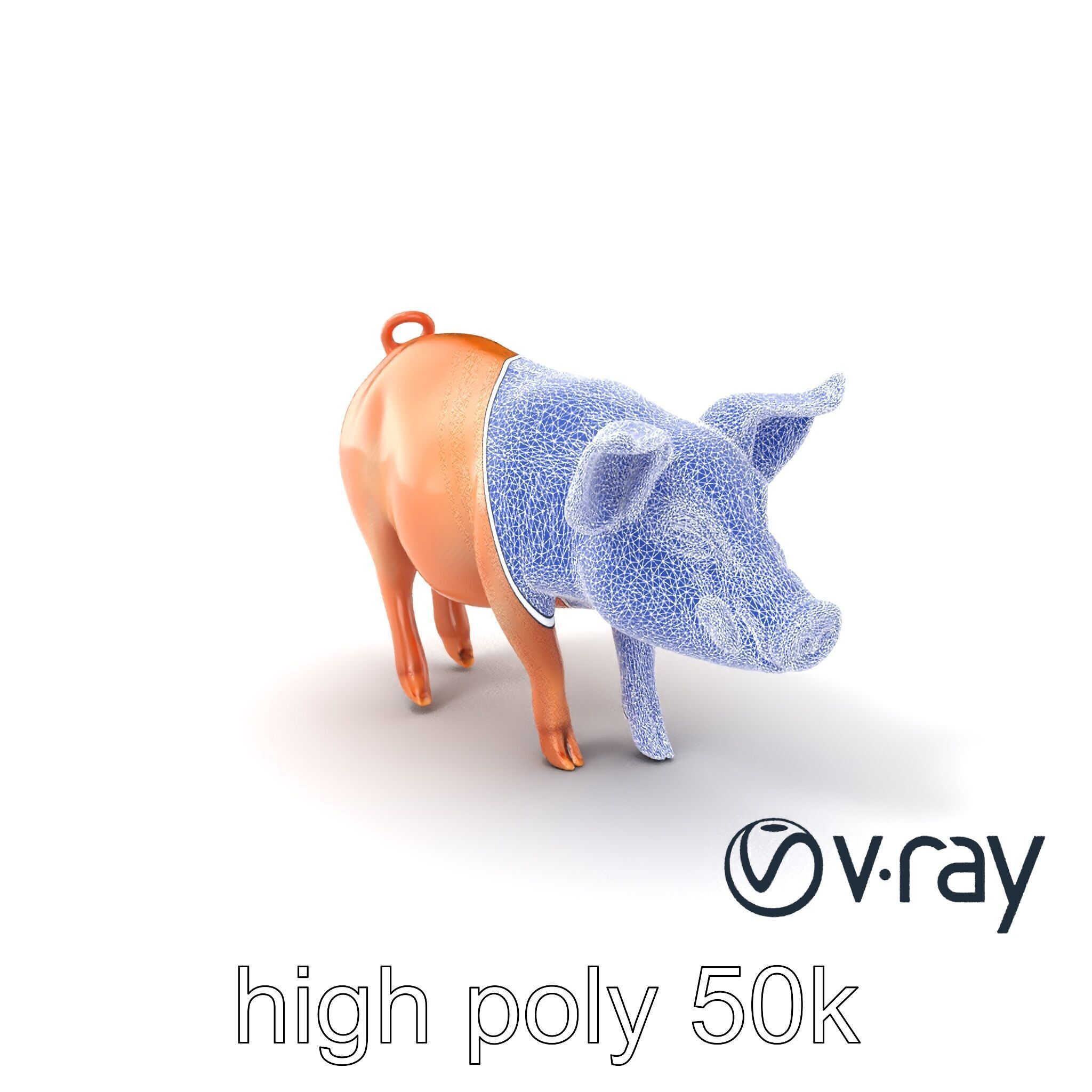 Realistic Pig Model with Pink Body model pack Low-poly 3D model_9