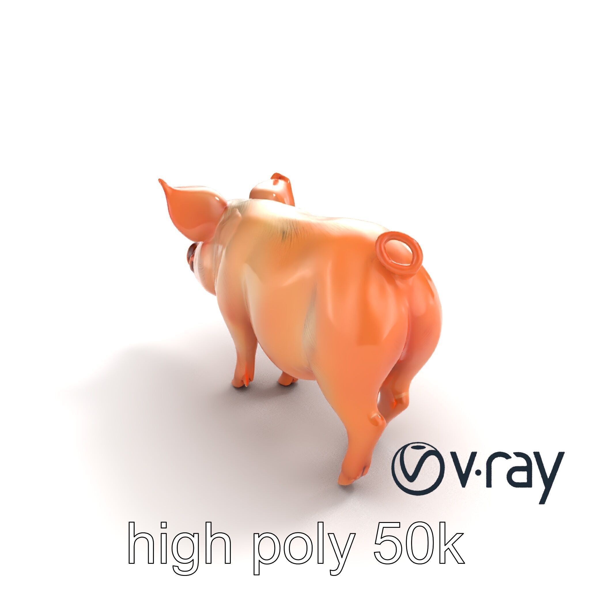 Realistic Pig Model with Pink Body model pack Low-poly 3D model_25