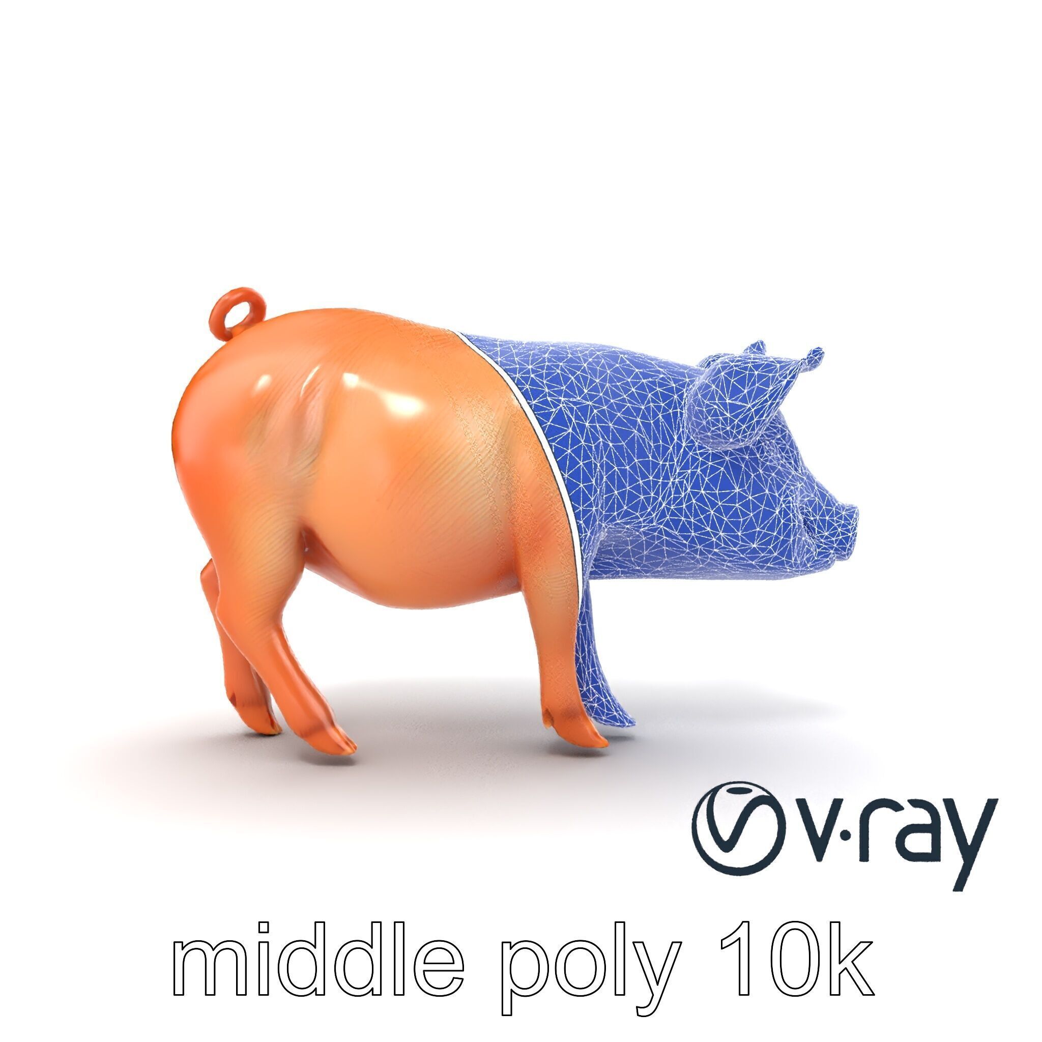 Realistic Pig Model with Pink Body model pack Low-poly 3D model_26