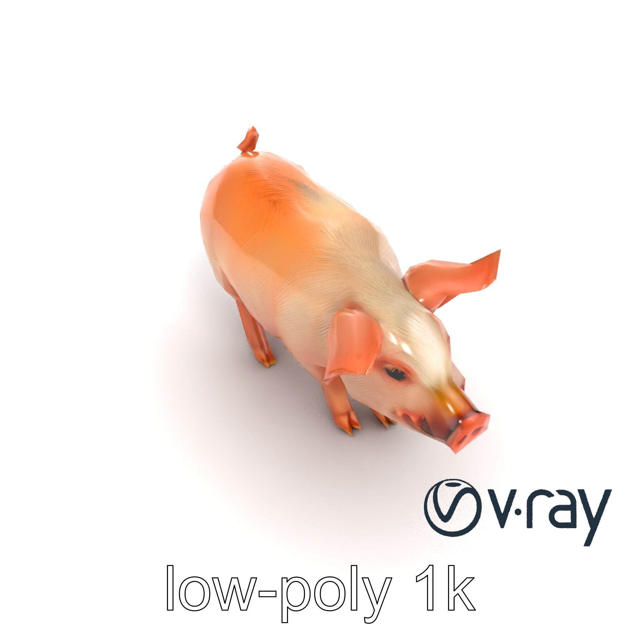 Realistic Pig Model with Pink Body model pack Low-poly 3D model_10