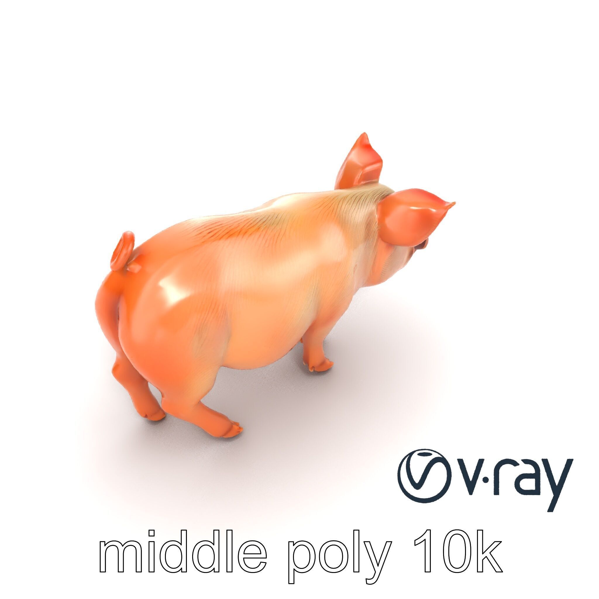 Realistic Pig Model with Pink Body model pack Low-poly 3D model_12