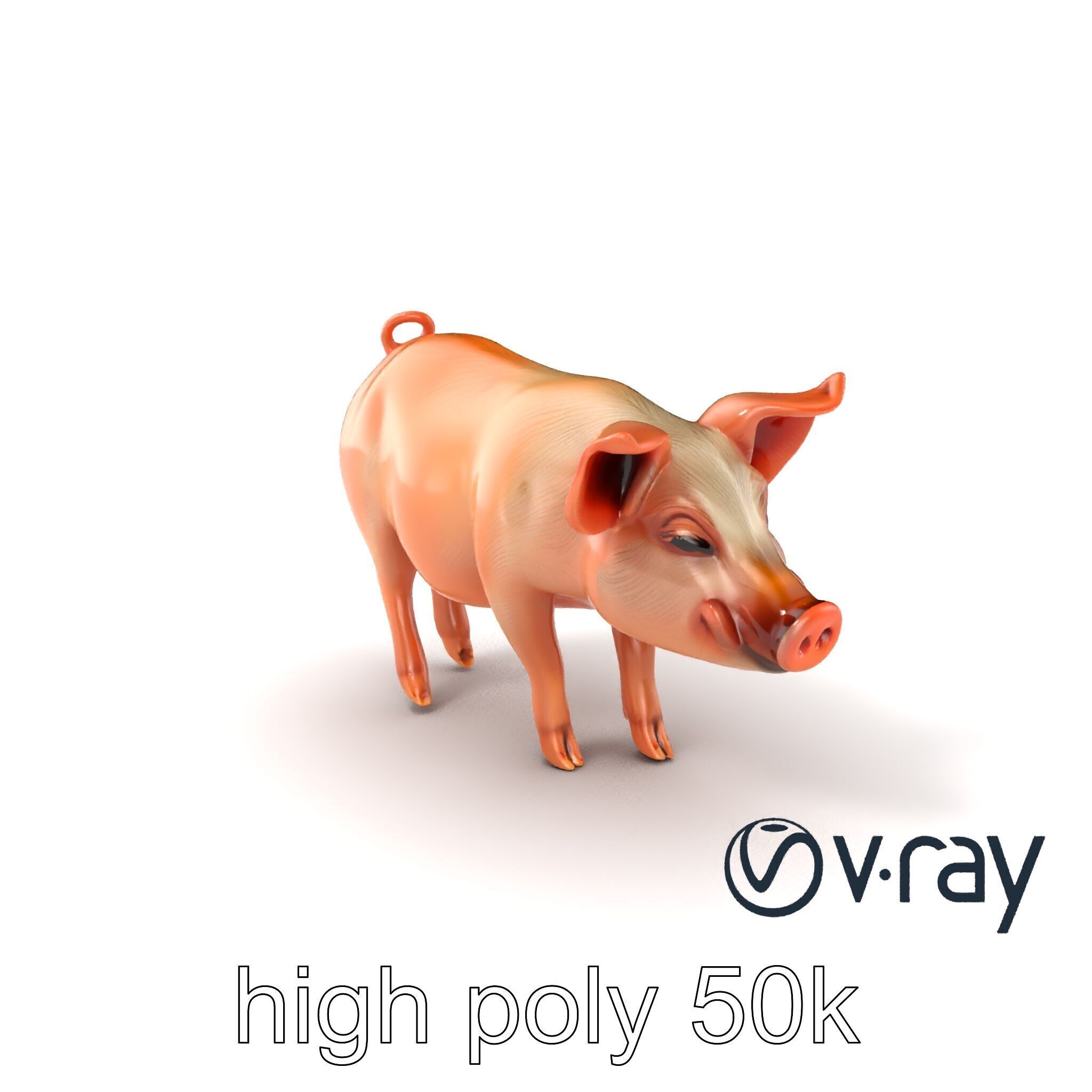 Realistic Pig Model with Pink Body model pack Low-poly 3D model_6