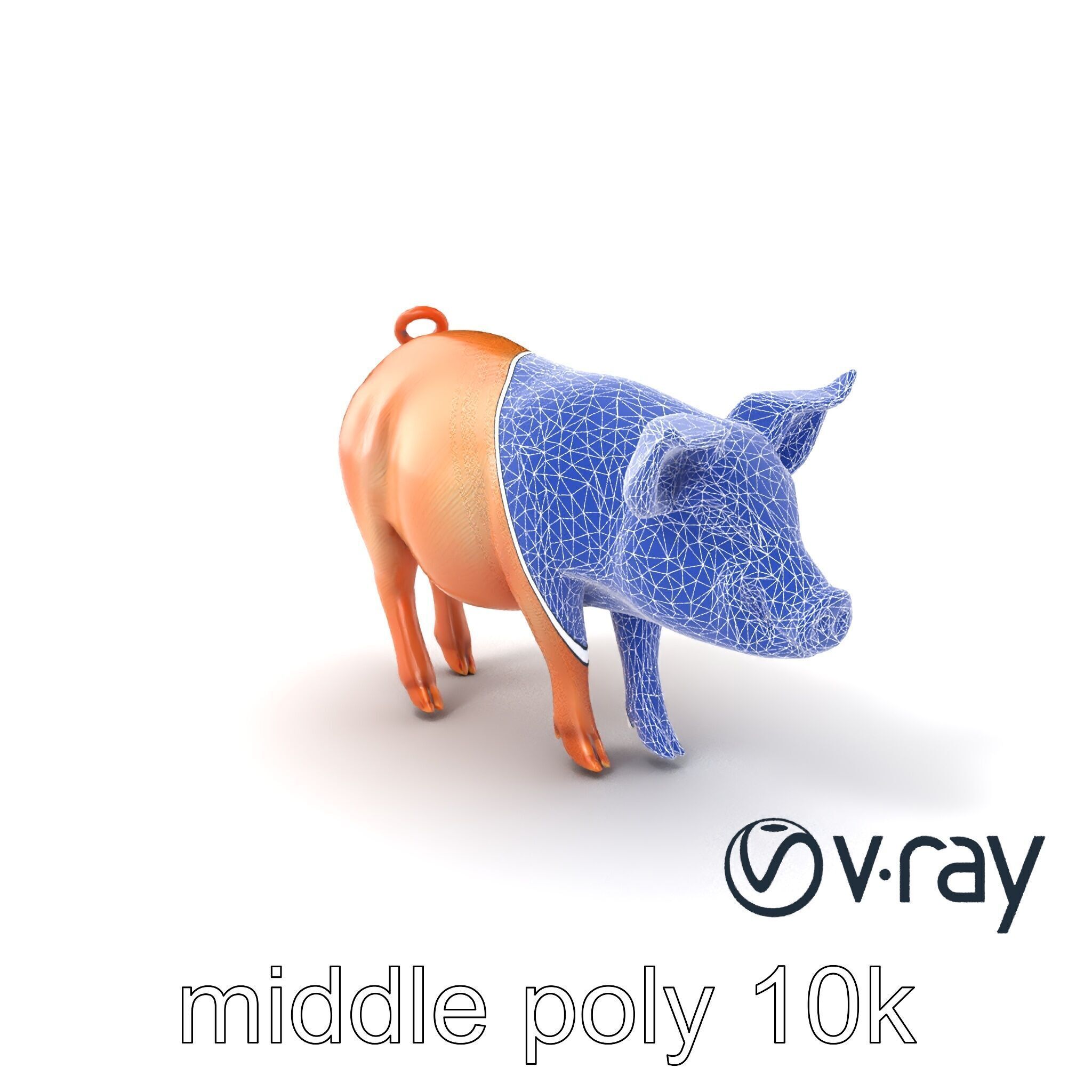 Realistic Pig Model with Pink Body model pack Low-poly 3D model_4