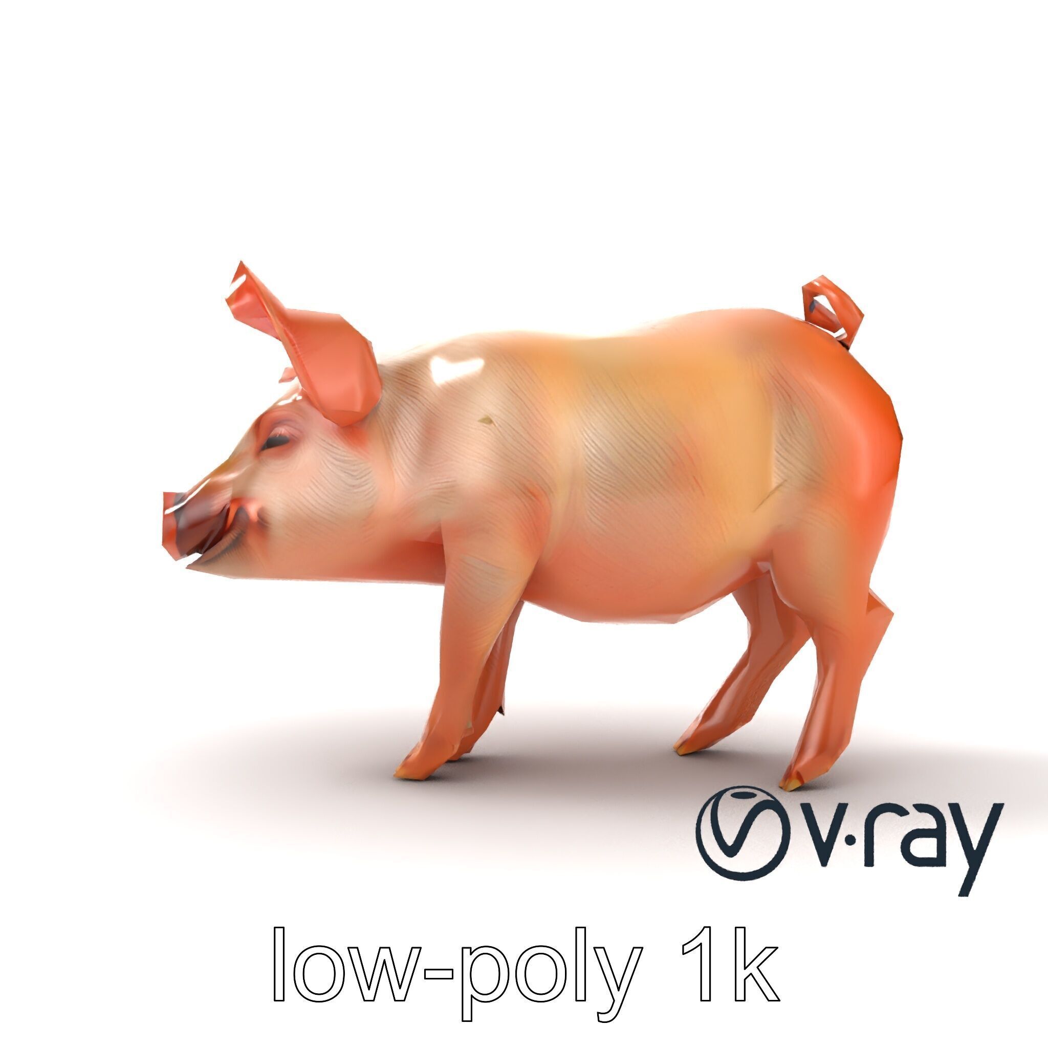 Realistic Pig Model with Pink Body model pack Low-poly 3D model_31