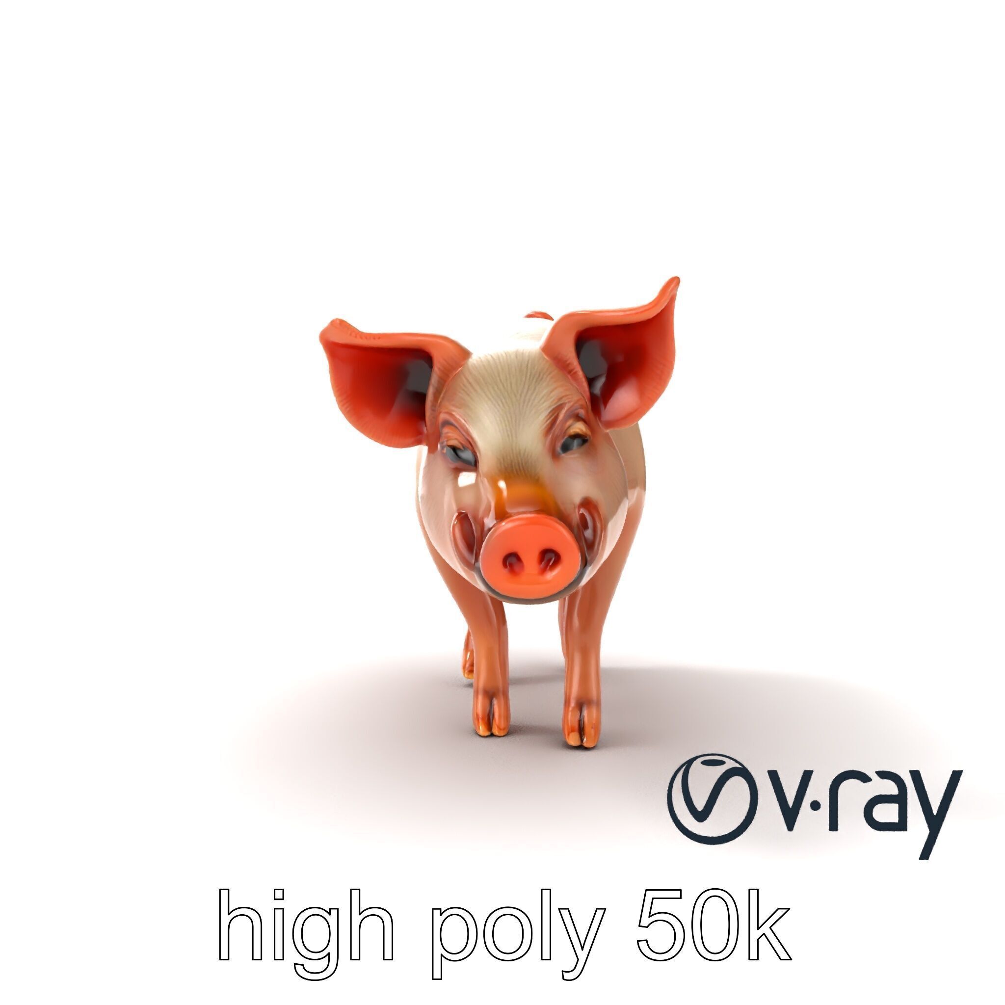 Realistic Pig Model with Pink Body model pack Low-poly 3D model_24
